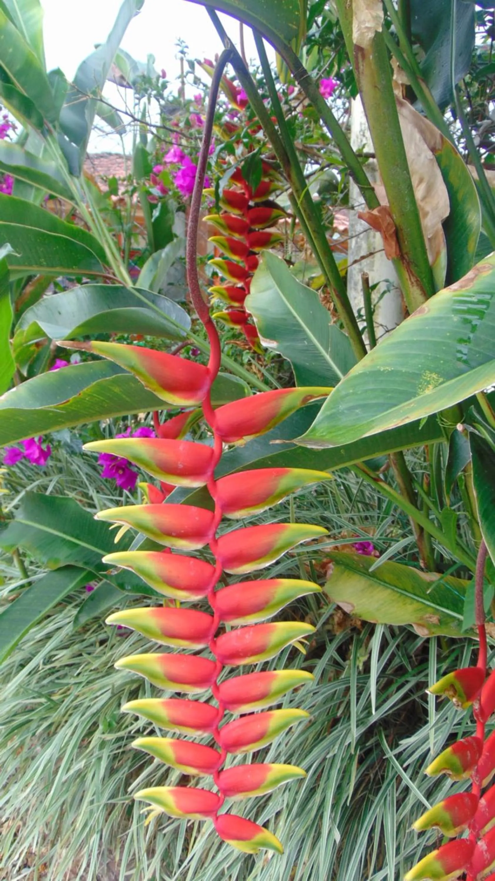 Finca Hotel La Quinta Porra