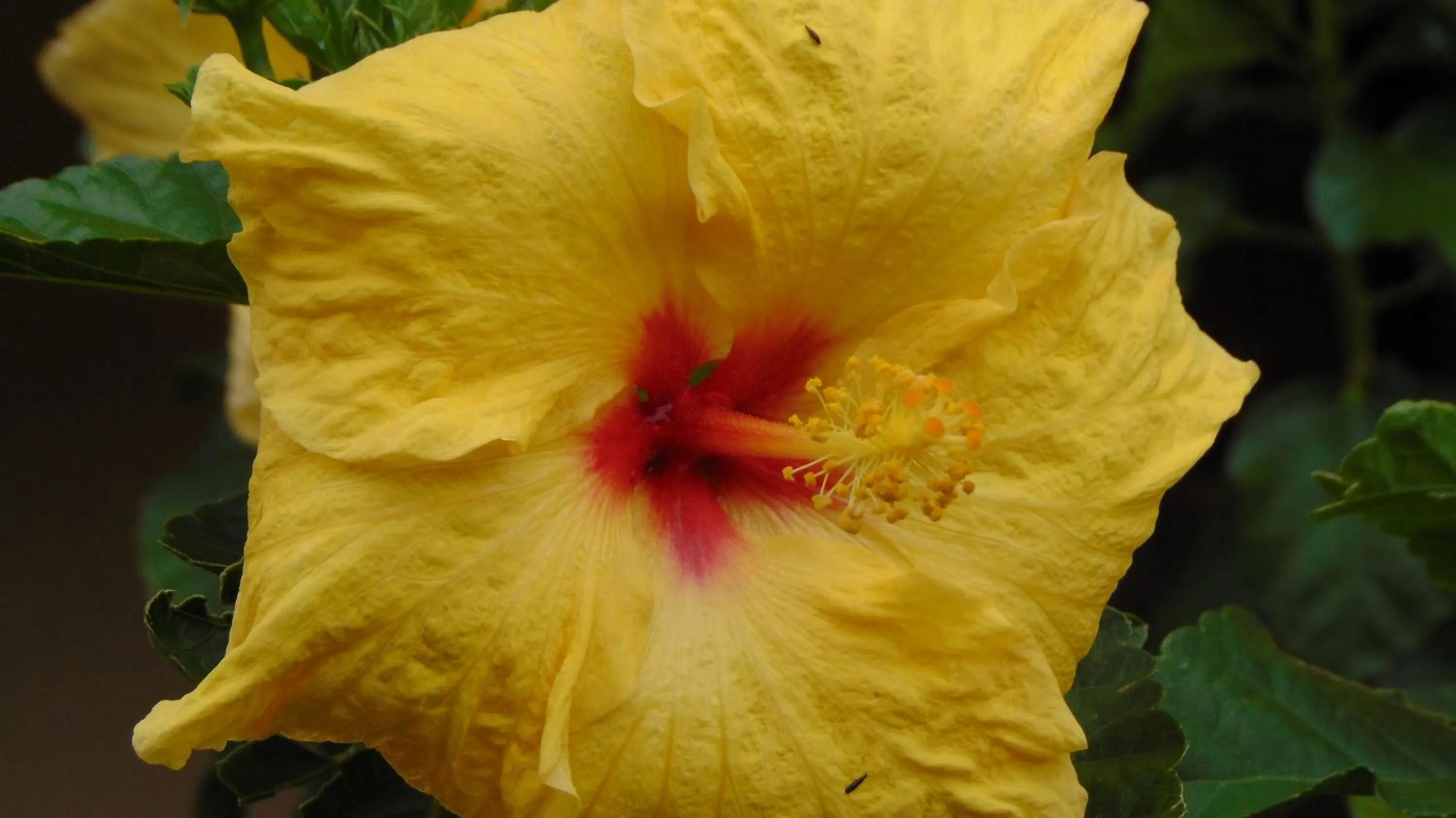 Finca Hotel La Quinta Porra