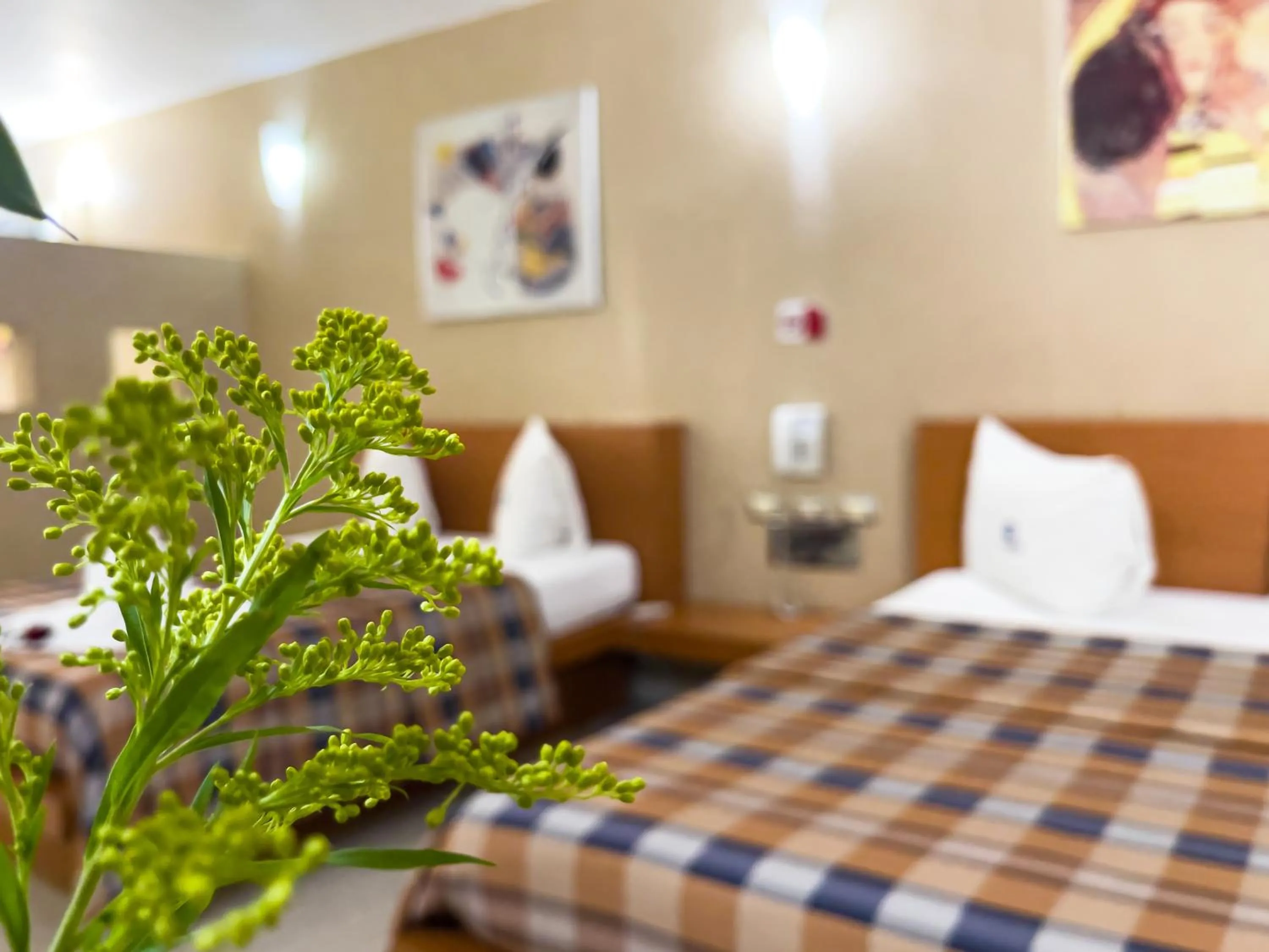 Photo of the whole room, Bed in Auto Hotel Mediterráneo