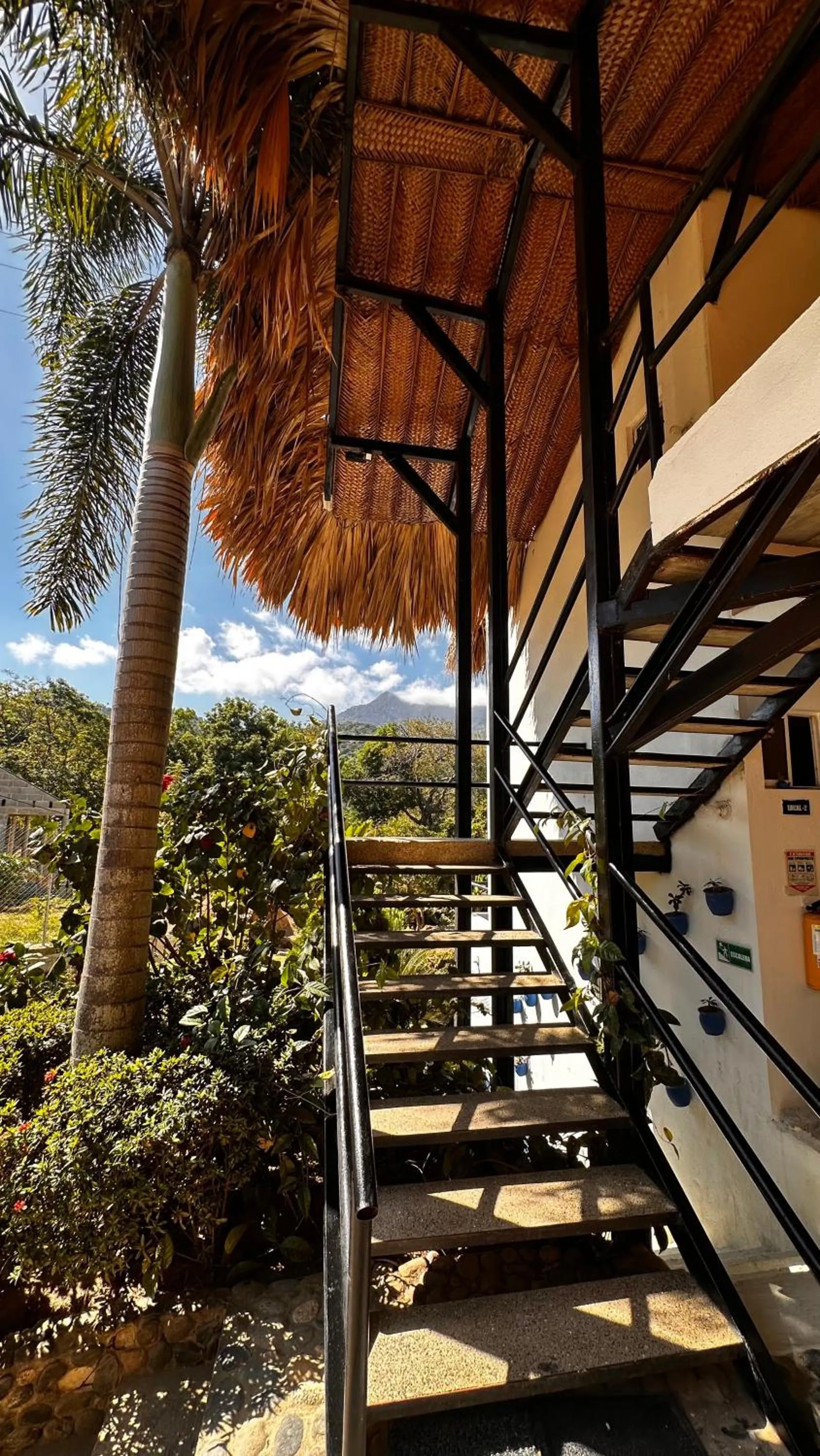 Natural landscape in Tayrona Angel Lodge