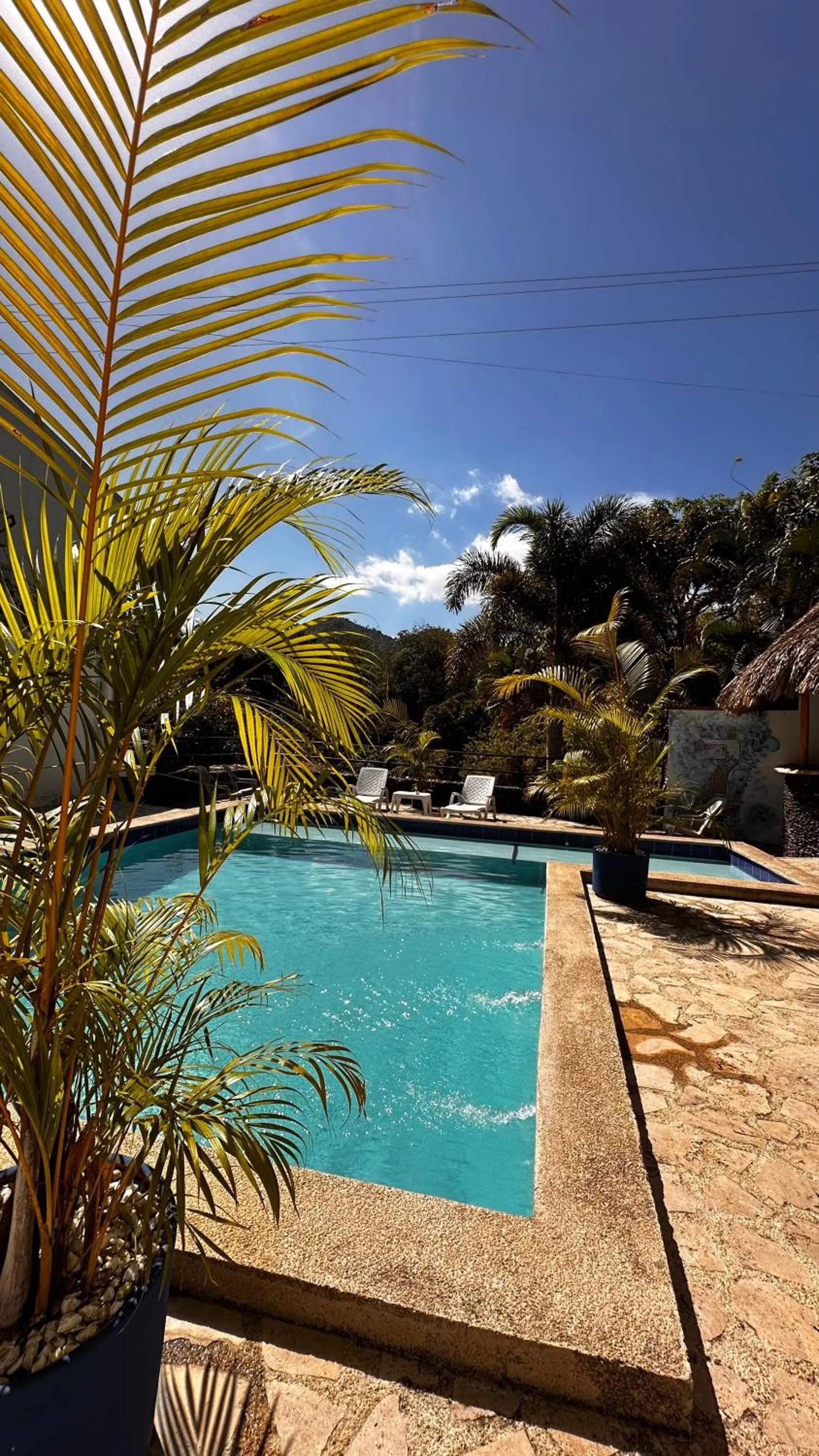 Swimming pool in Tayrona Angel Lodge
