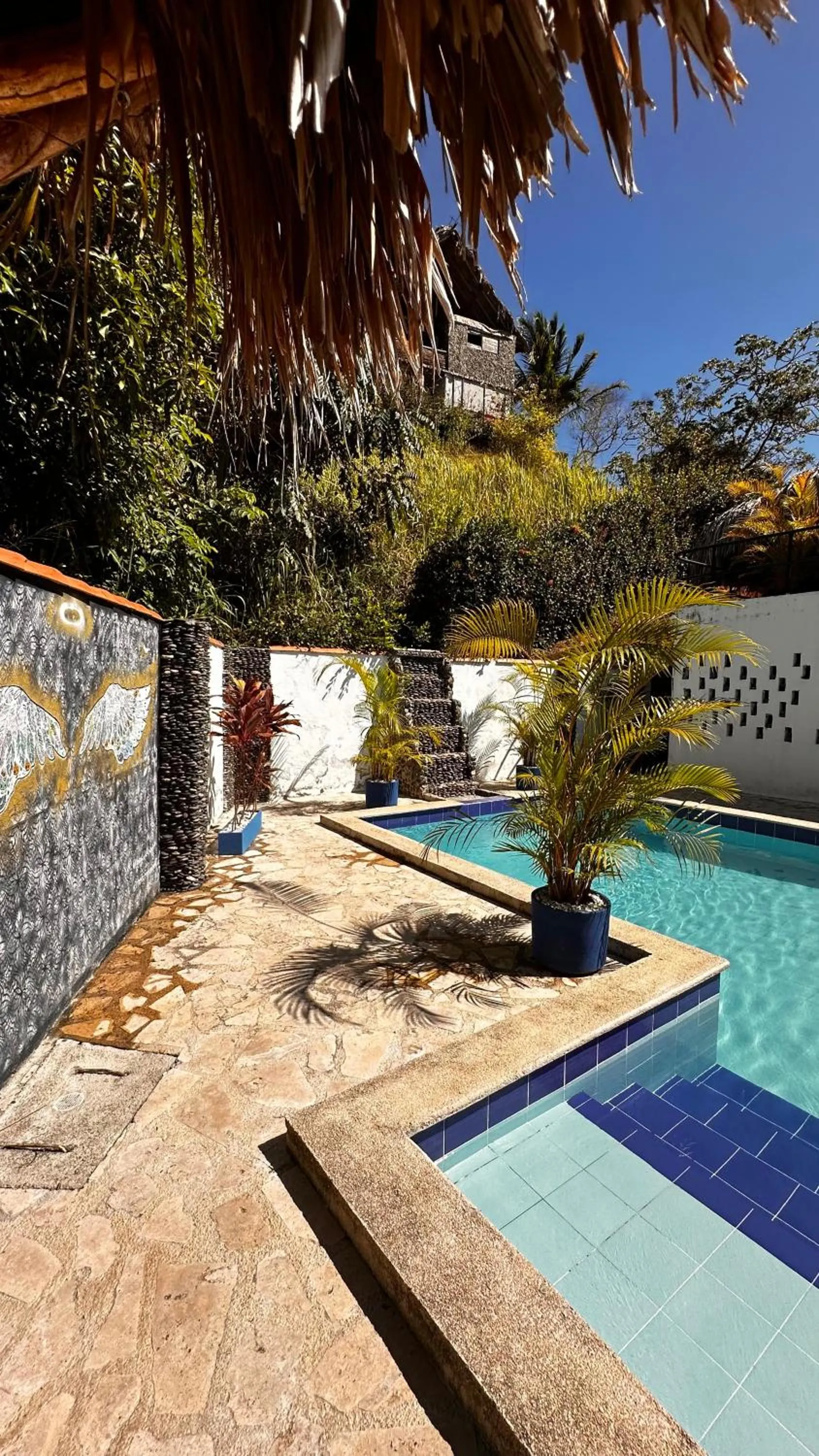 Swimming pool in Tayrona Angel Lodge