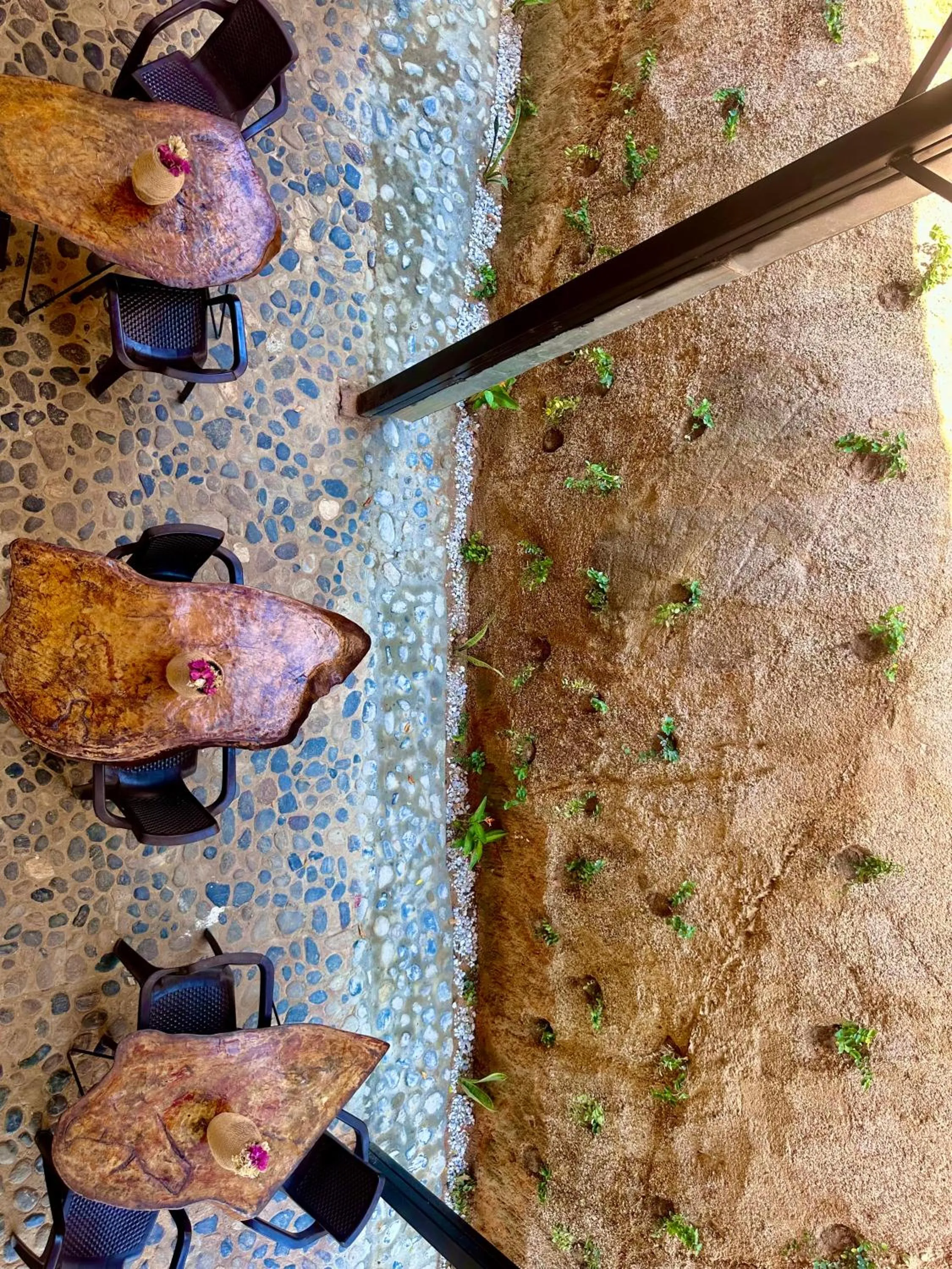 Breakfast in Tayrona Angel Lodge