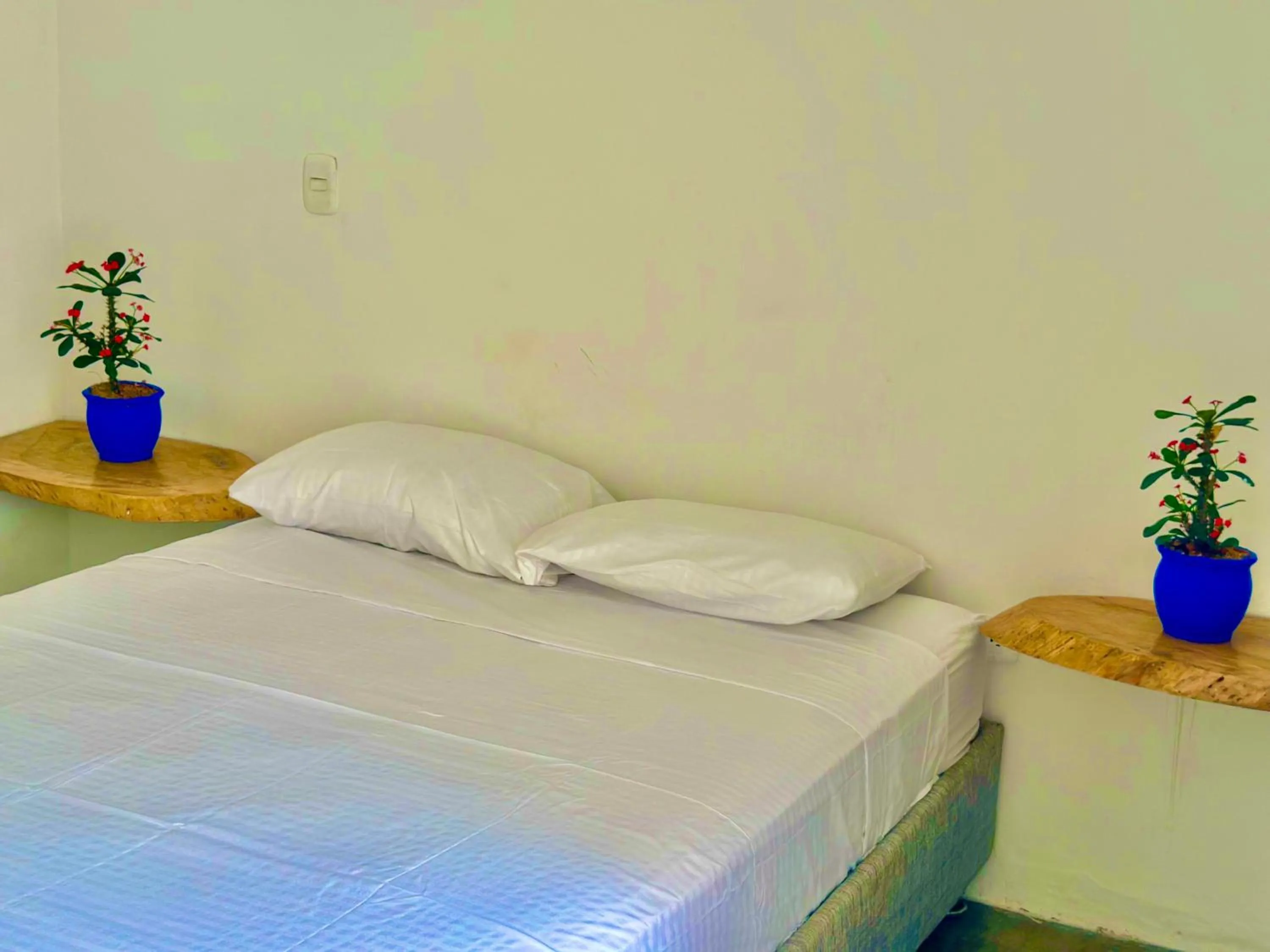 Bed in Tayrona Angel Lodge
