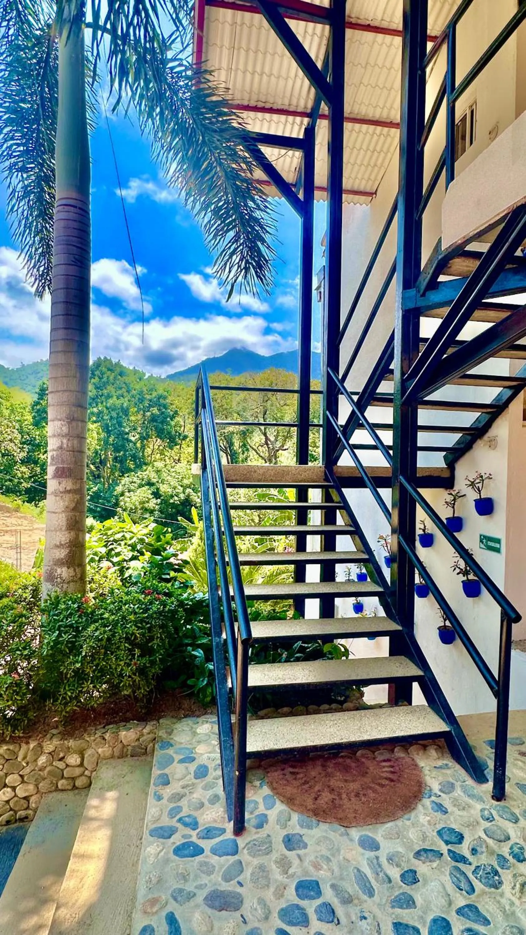 Natural landscape in Tayrona Angel Lodge