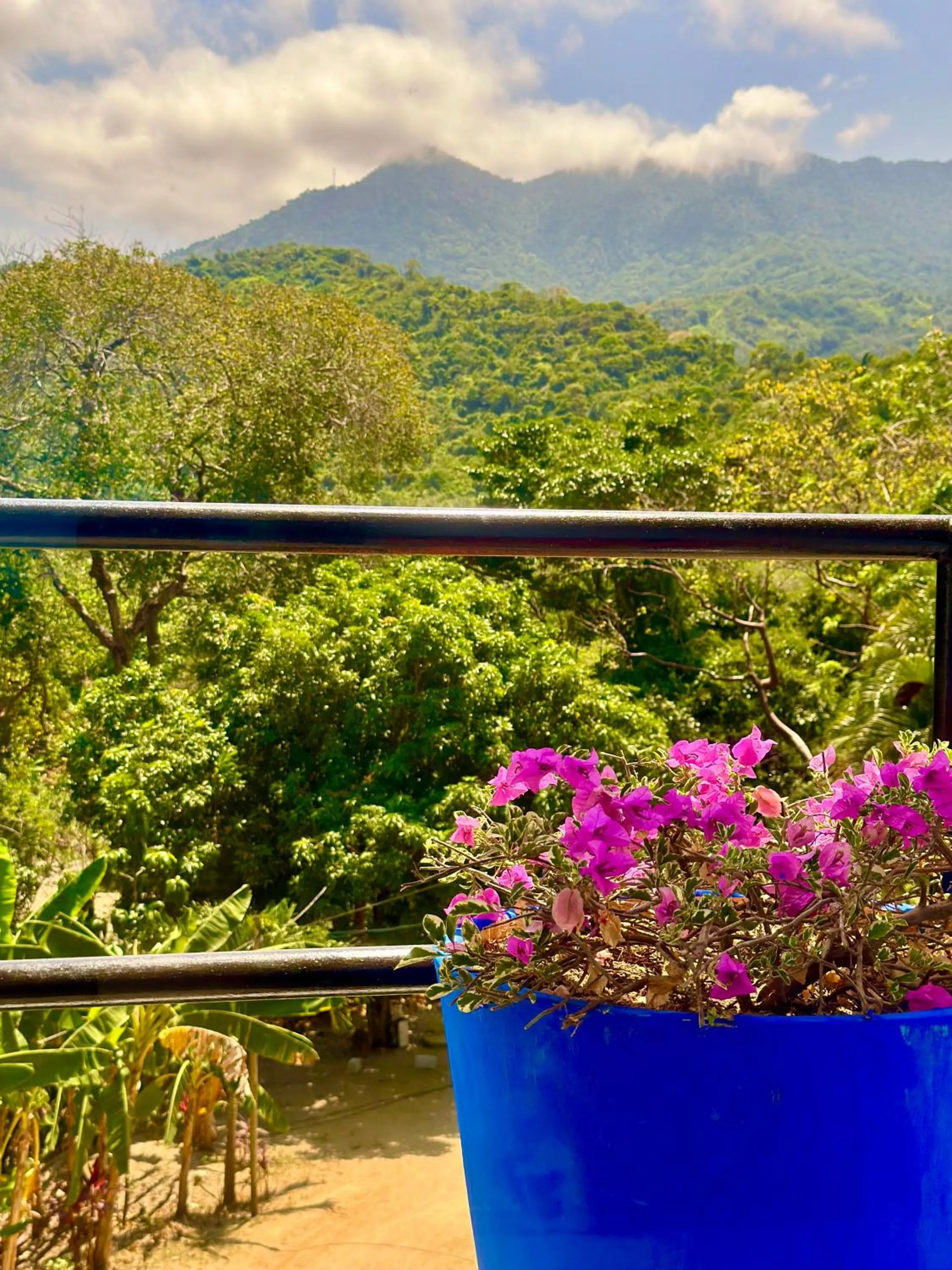 Balcony/Terrace in Tayrona Angel Lodge