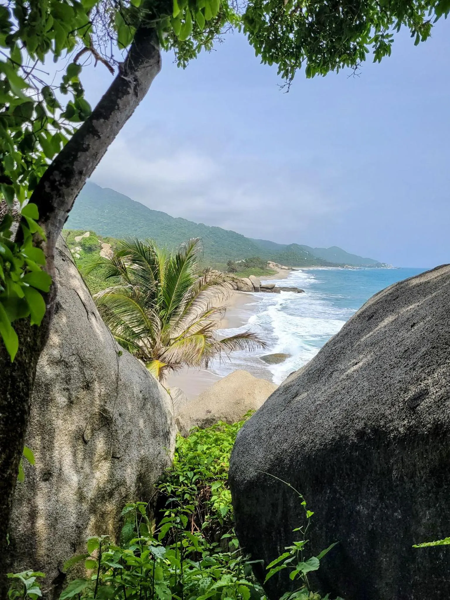 Nearby landmark in Tayrona Angel Lodge