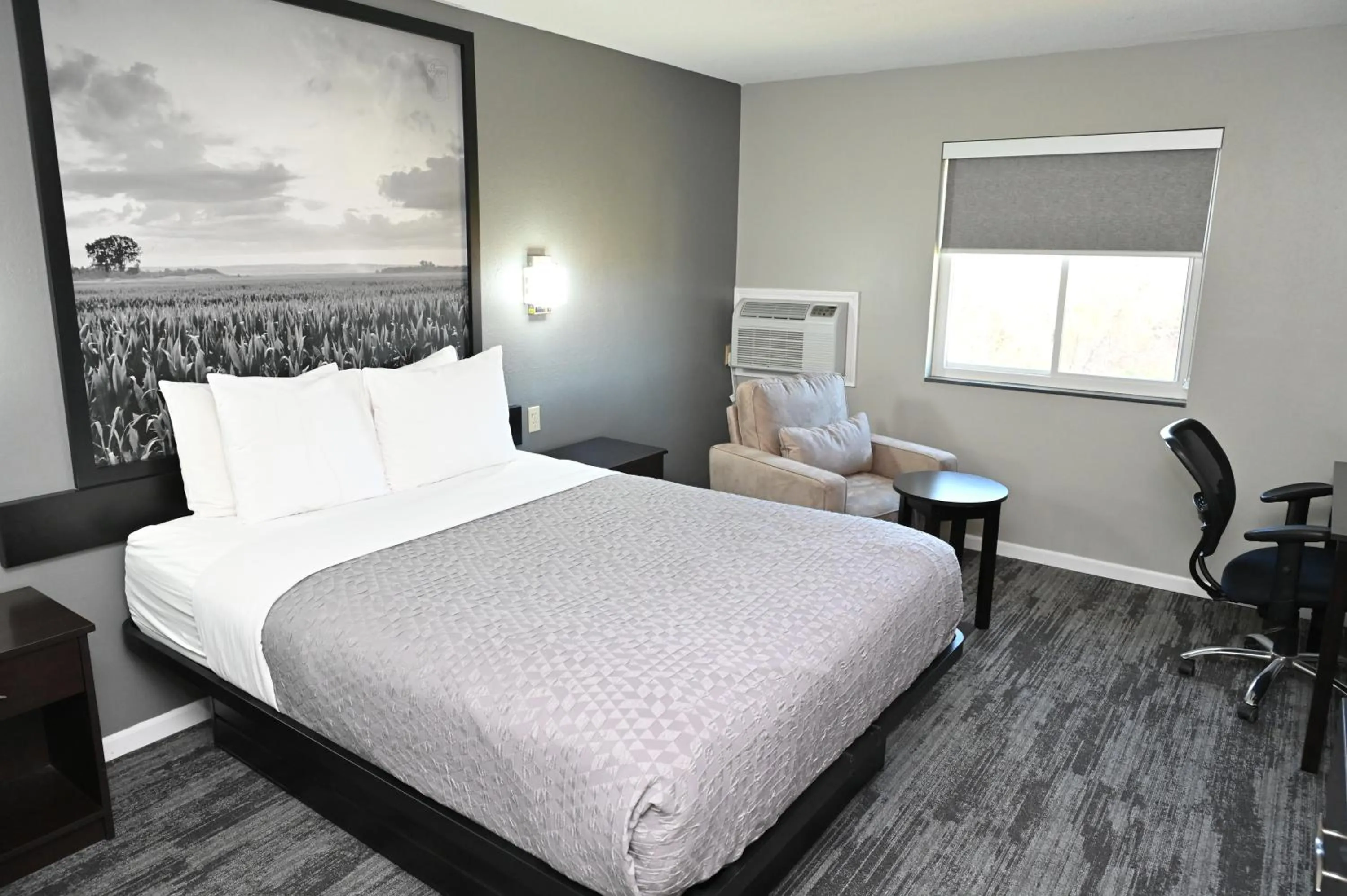 Bed in Super 8 by Wyndham Higginsville