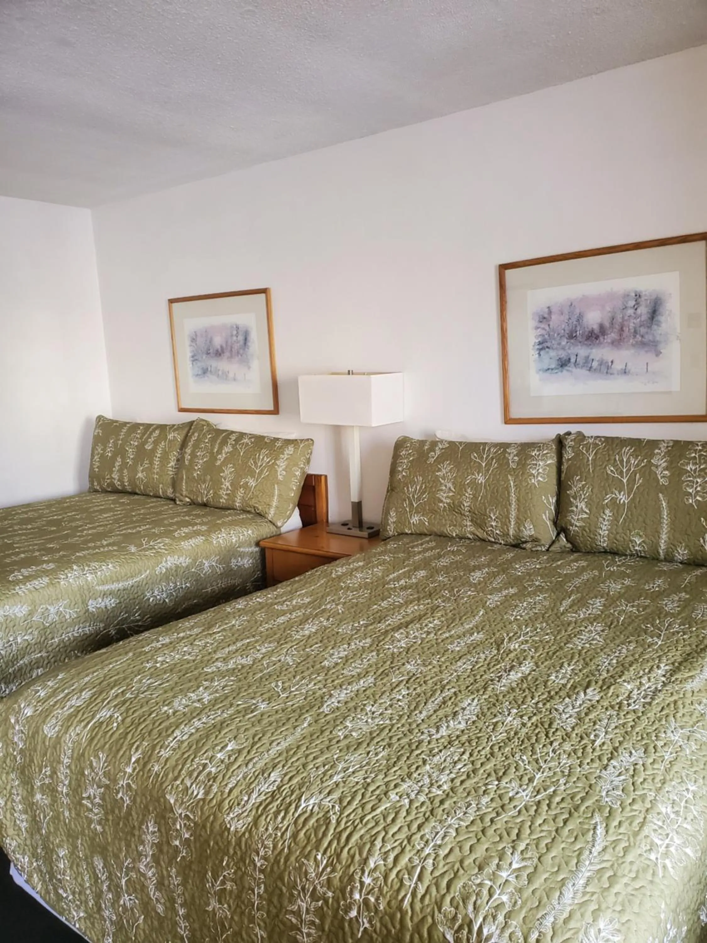 Bed in Budget Inn Durango
