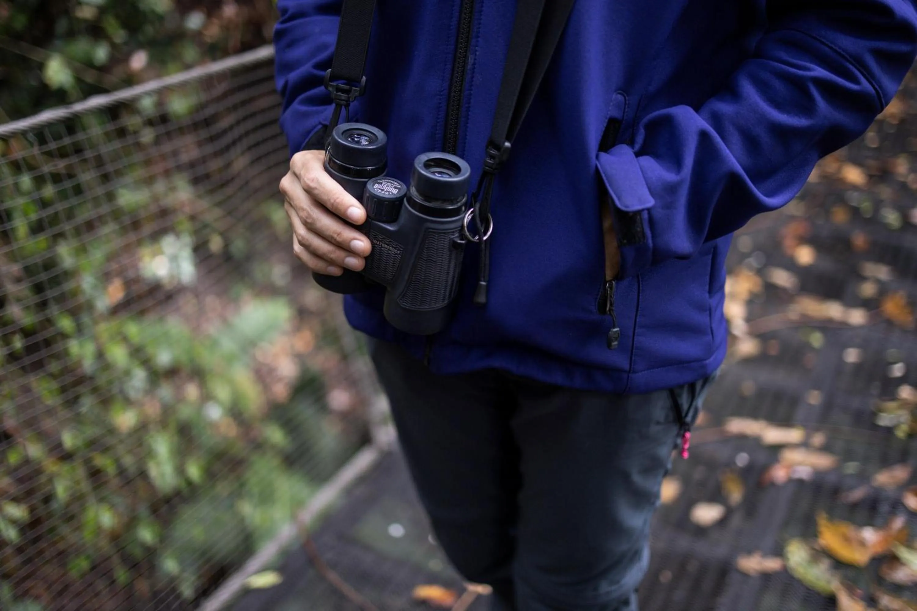 Activities in Senda Monteverde Hotel Member of the Cayuga Collection