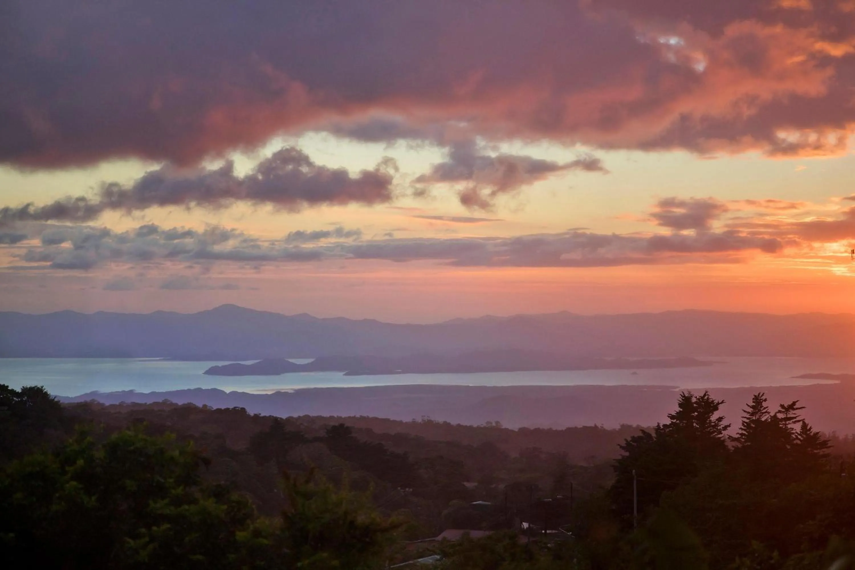 Natural landscape in Senda Monteverde Hotel Member of the Cayuga Collection
