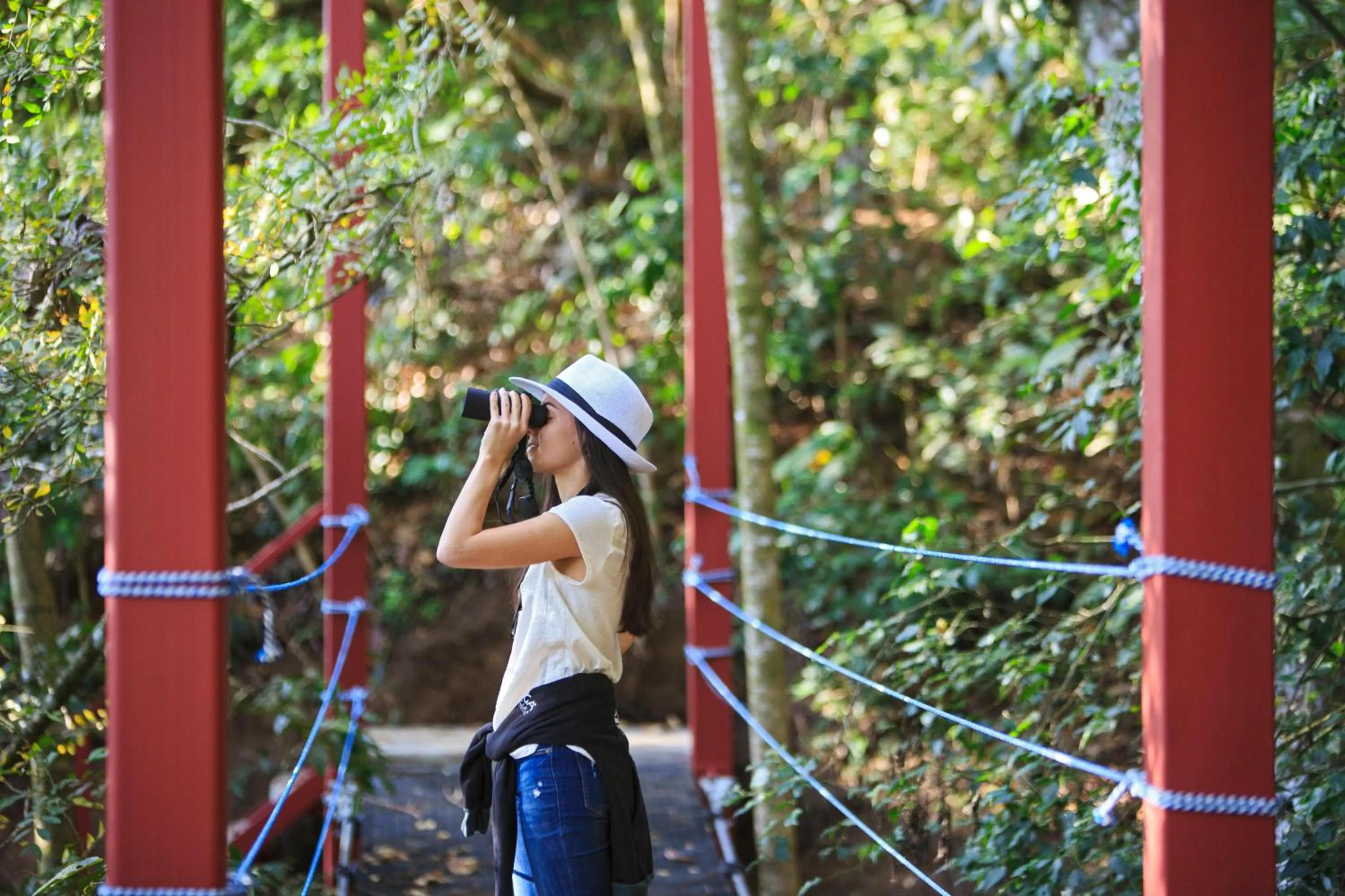 Activities in Senda Monteverde Hotel Member of the Cayuga Collection