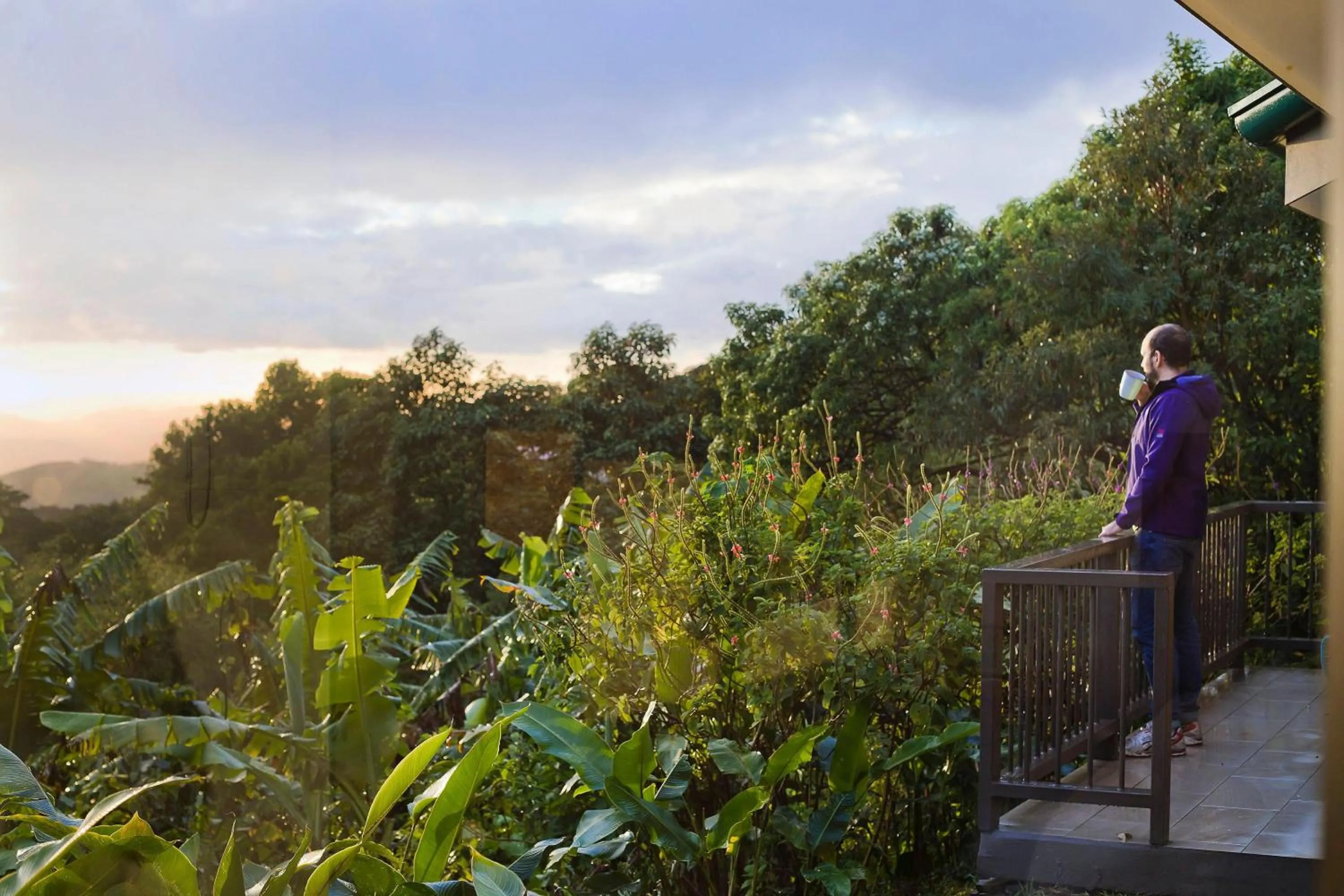Garden in Senda Monteverde Hotel Member of the Cayuga Collection