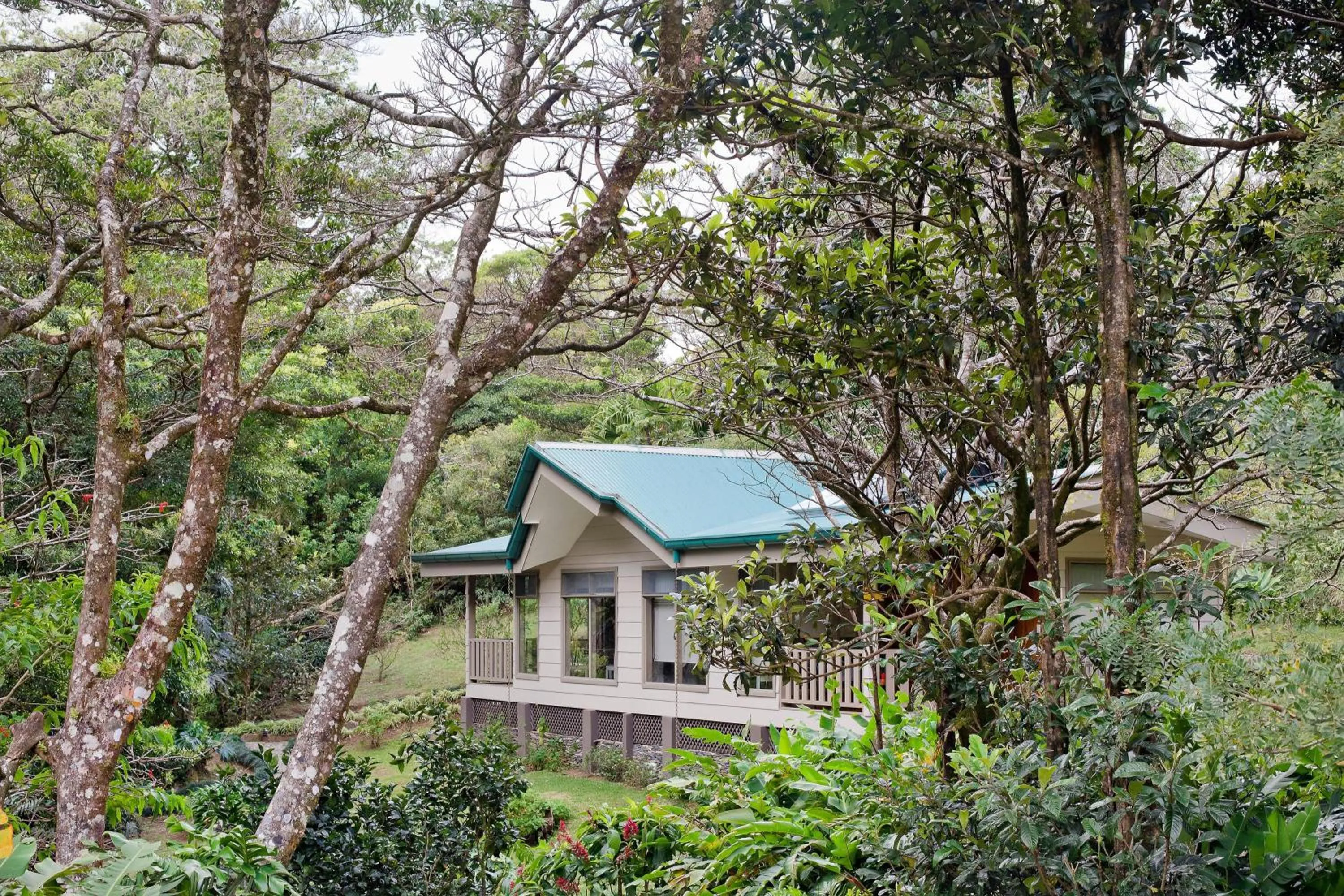 Property building in Senda Monteverde Hotel Member of the Cayuga Collection