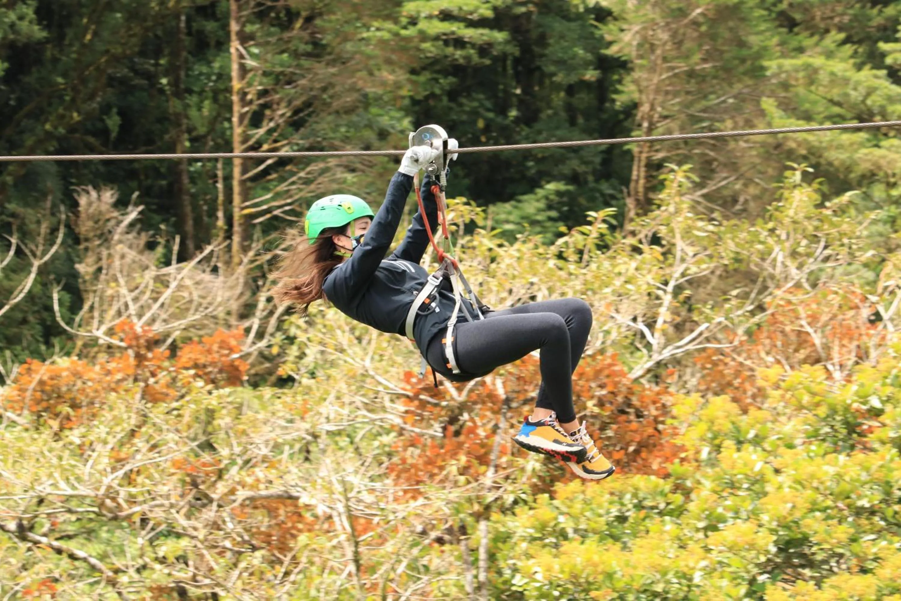 Pets in Senda Monteverde Hotel Member of the Cayuga Collection