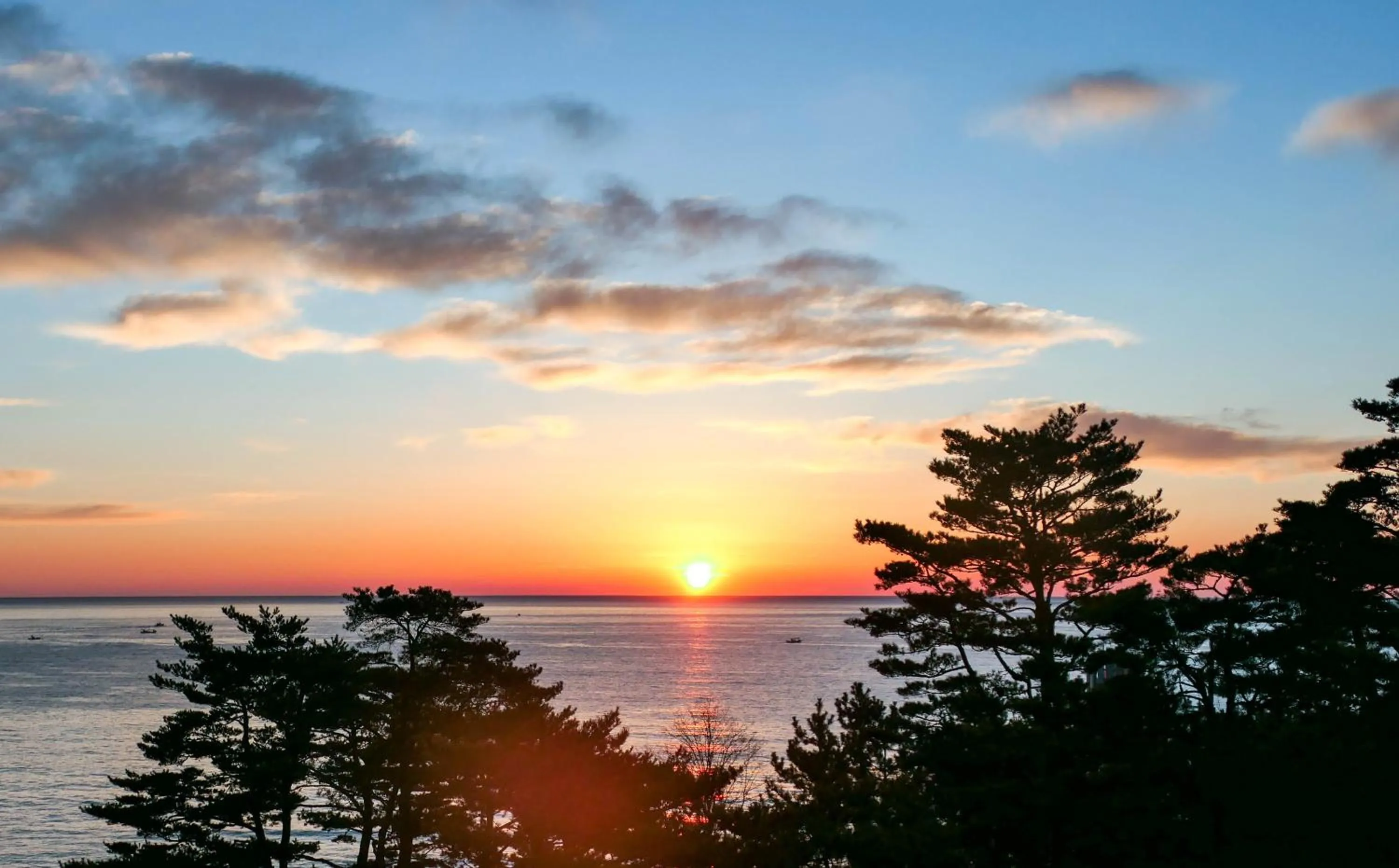 Natural landscape in Hotel Maremons