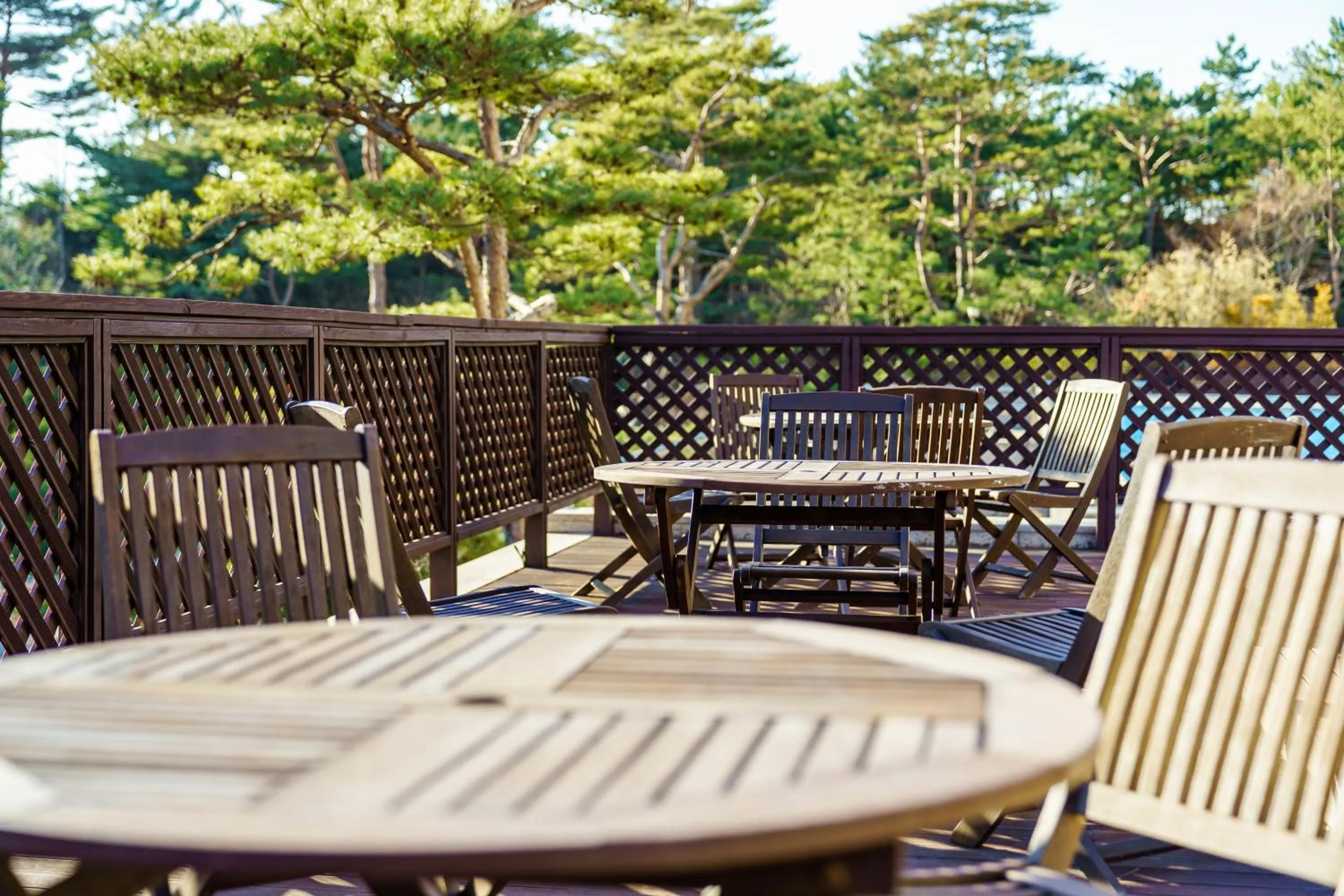 Garden in Hotel Maremons