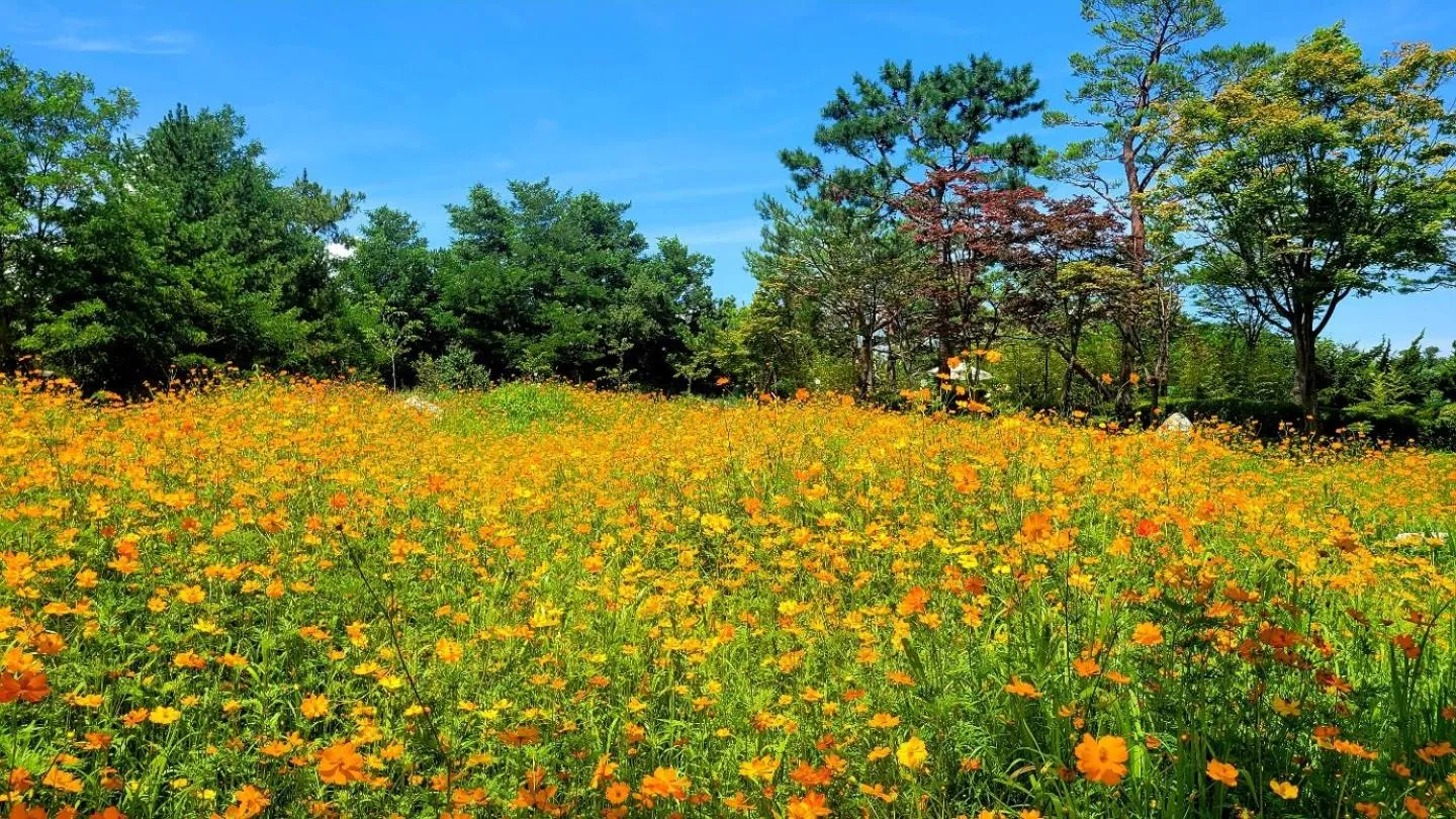 Garden in Hotel Maremons