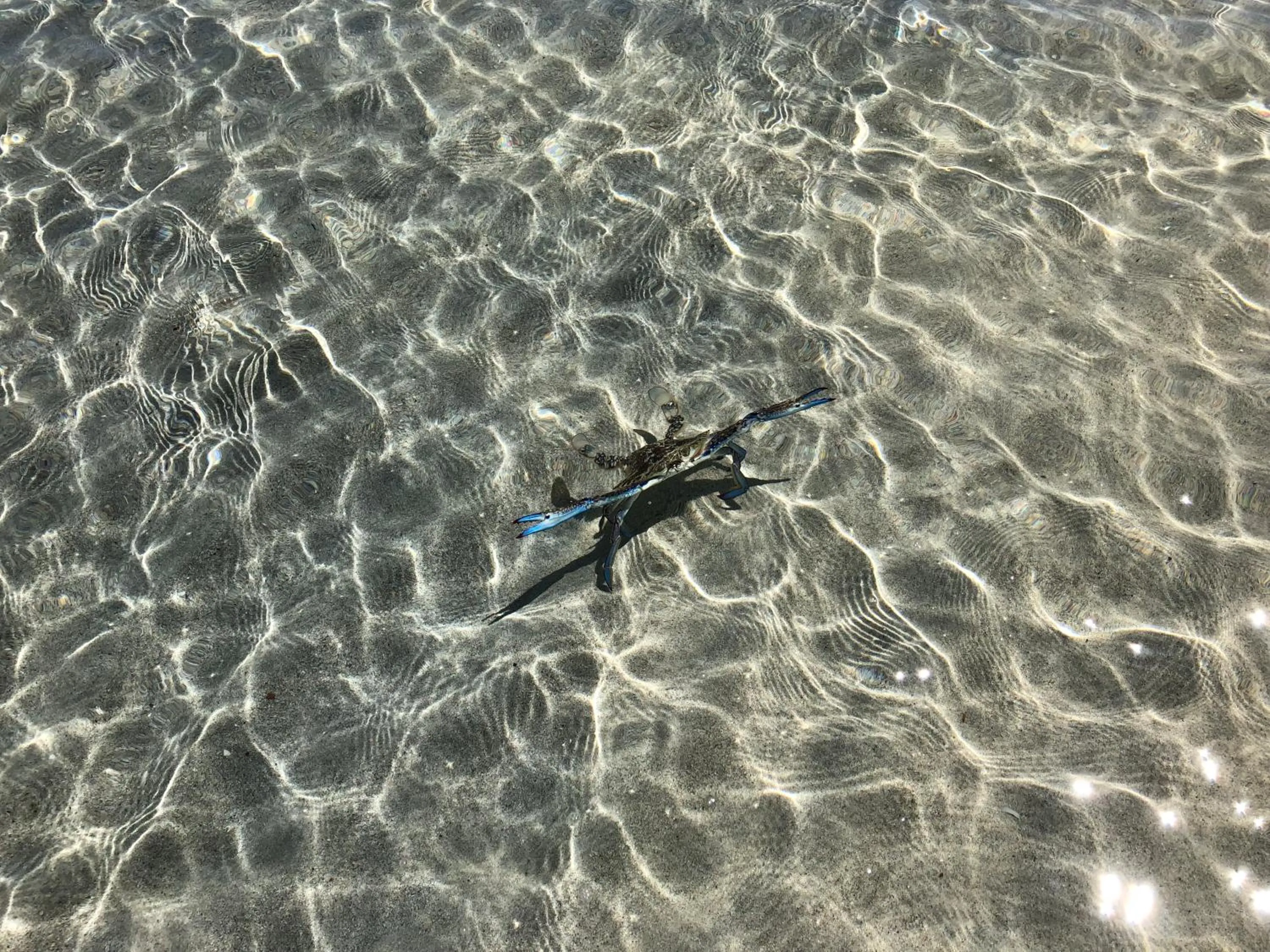 Natural landscape in Peppermint Grove Beach Holiday Park