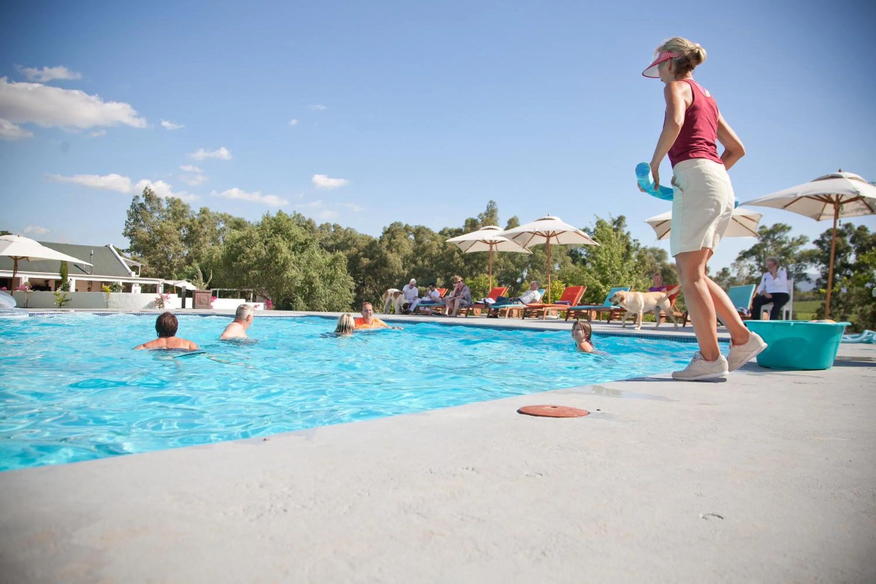 Swimming pool in Lady Loch Country House