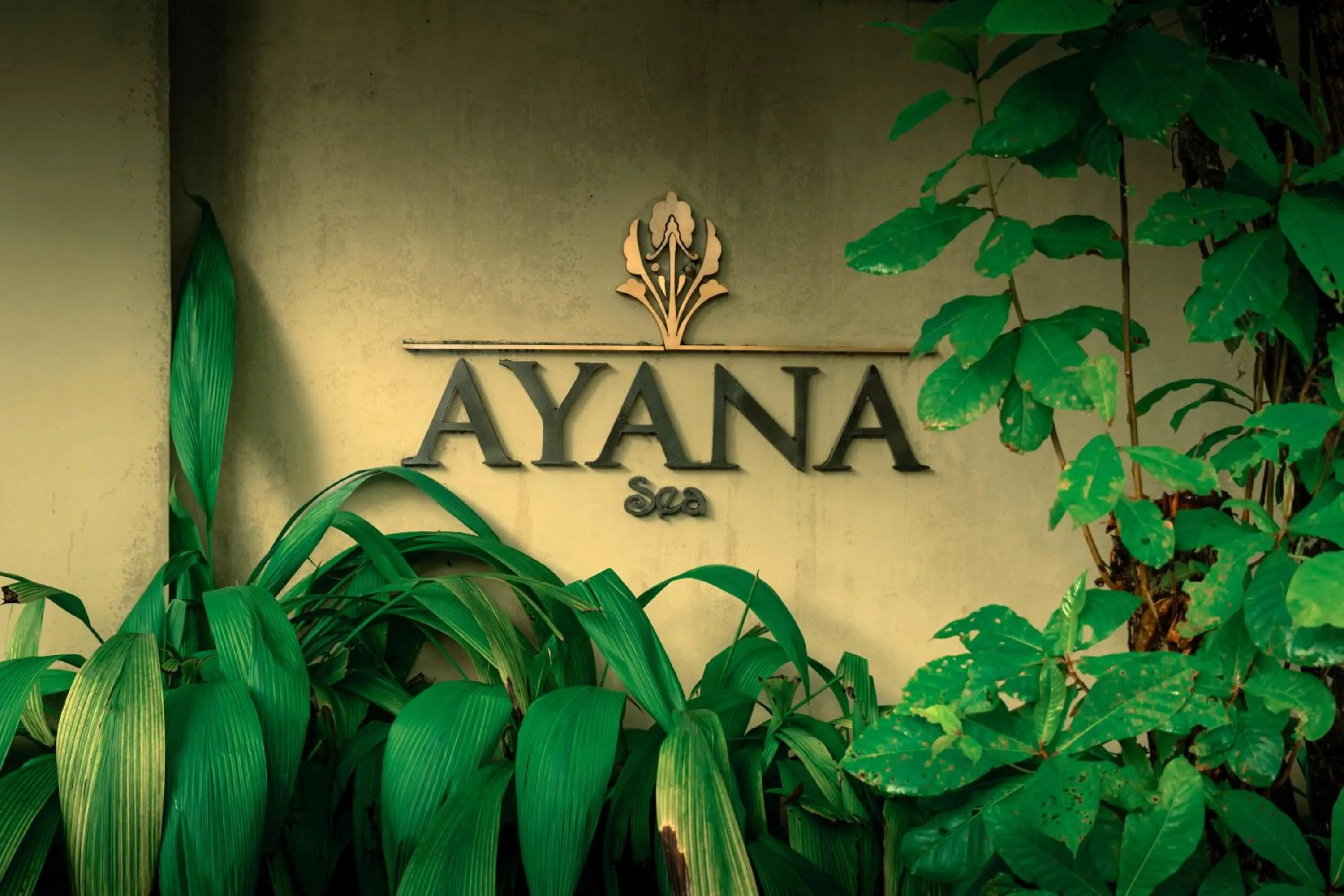 Property logo or sign in Ayana Sea
