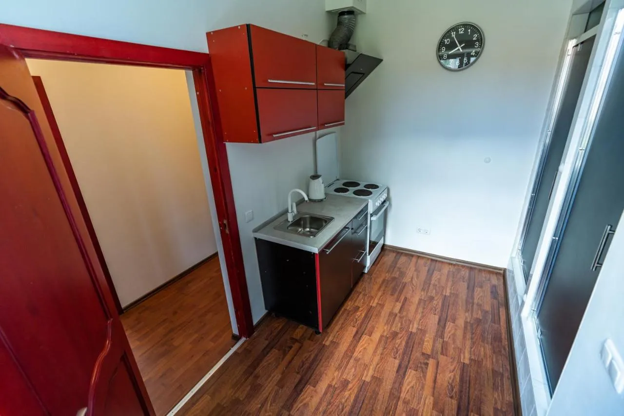 Kitchen or kitchenette in Klaipeda INN Private Parking and Kitchen