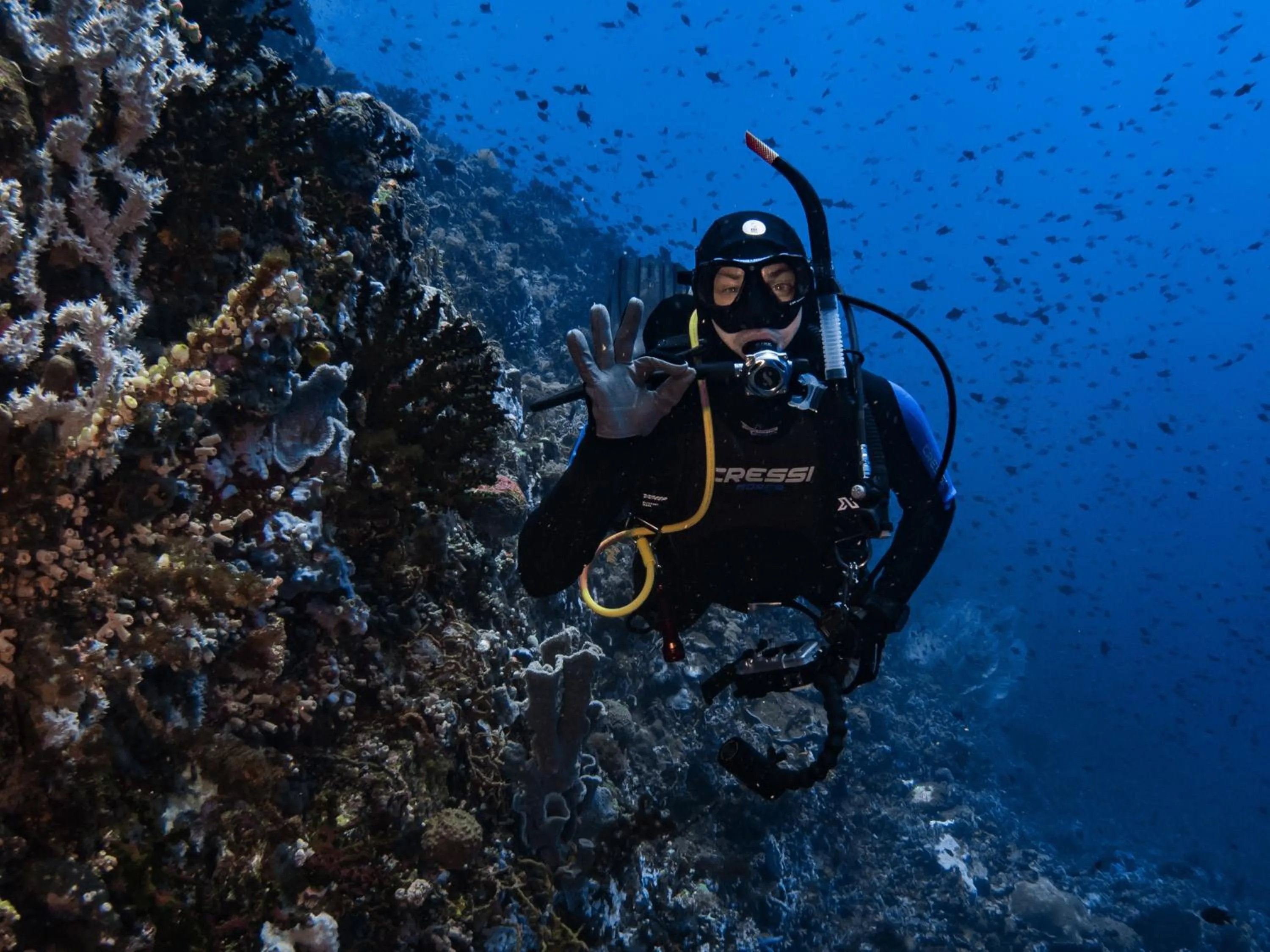 Diving in Badladz Beach and Dive Resort