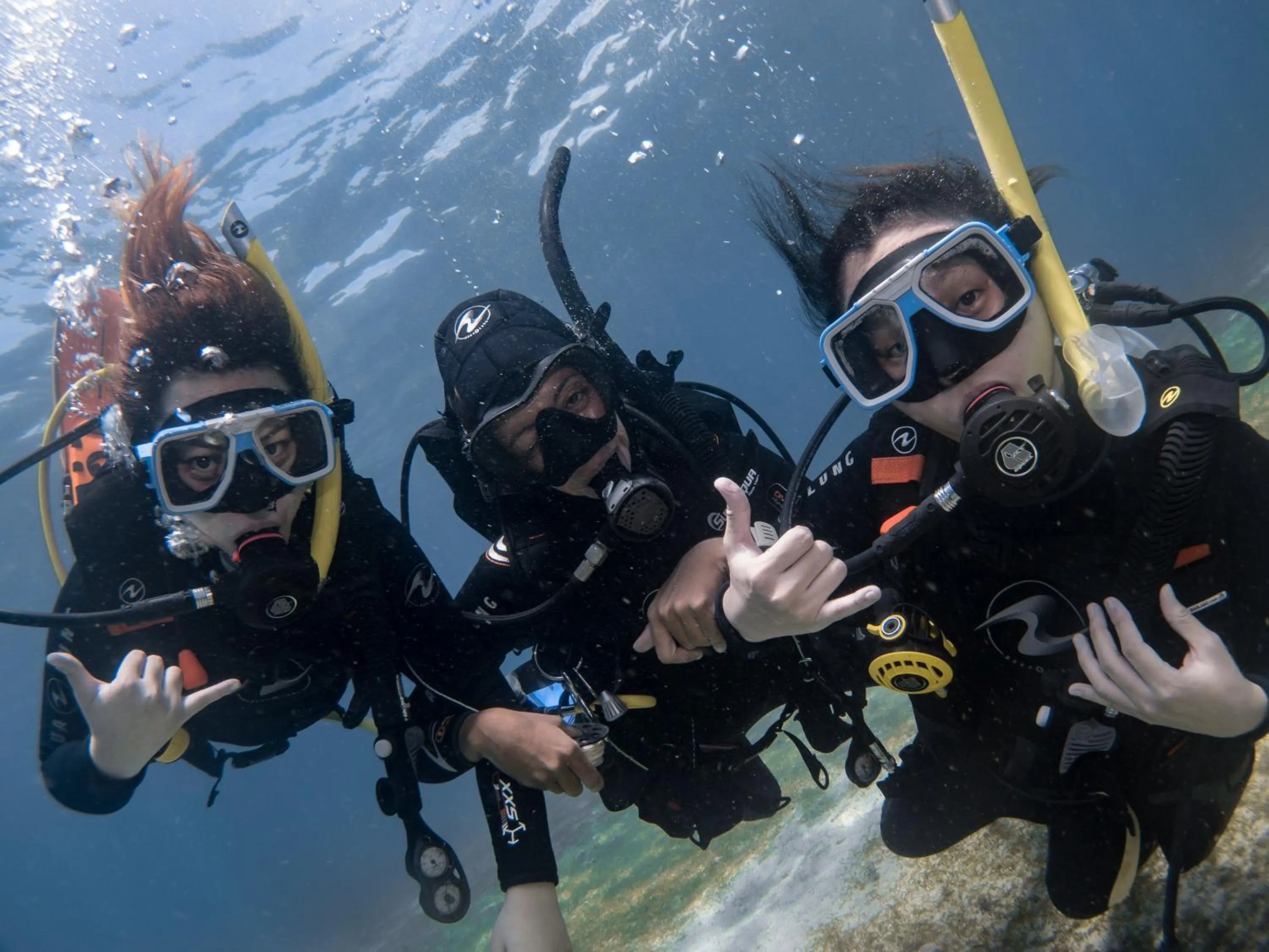 Diving in Badladz Beach and Dive Resort