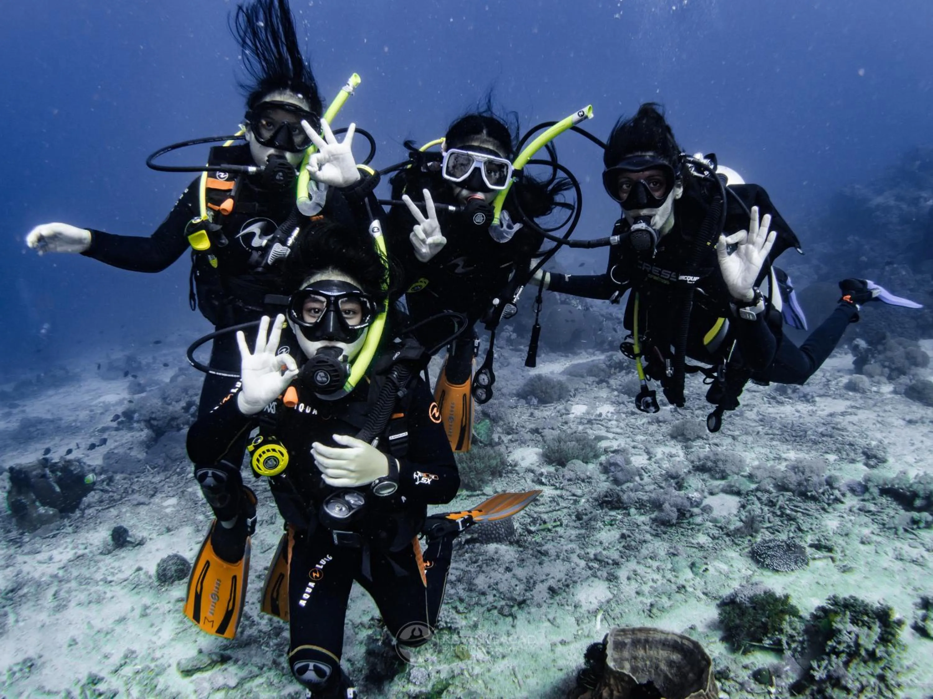 Diving in Badladz Beach and Dive Resort