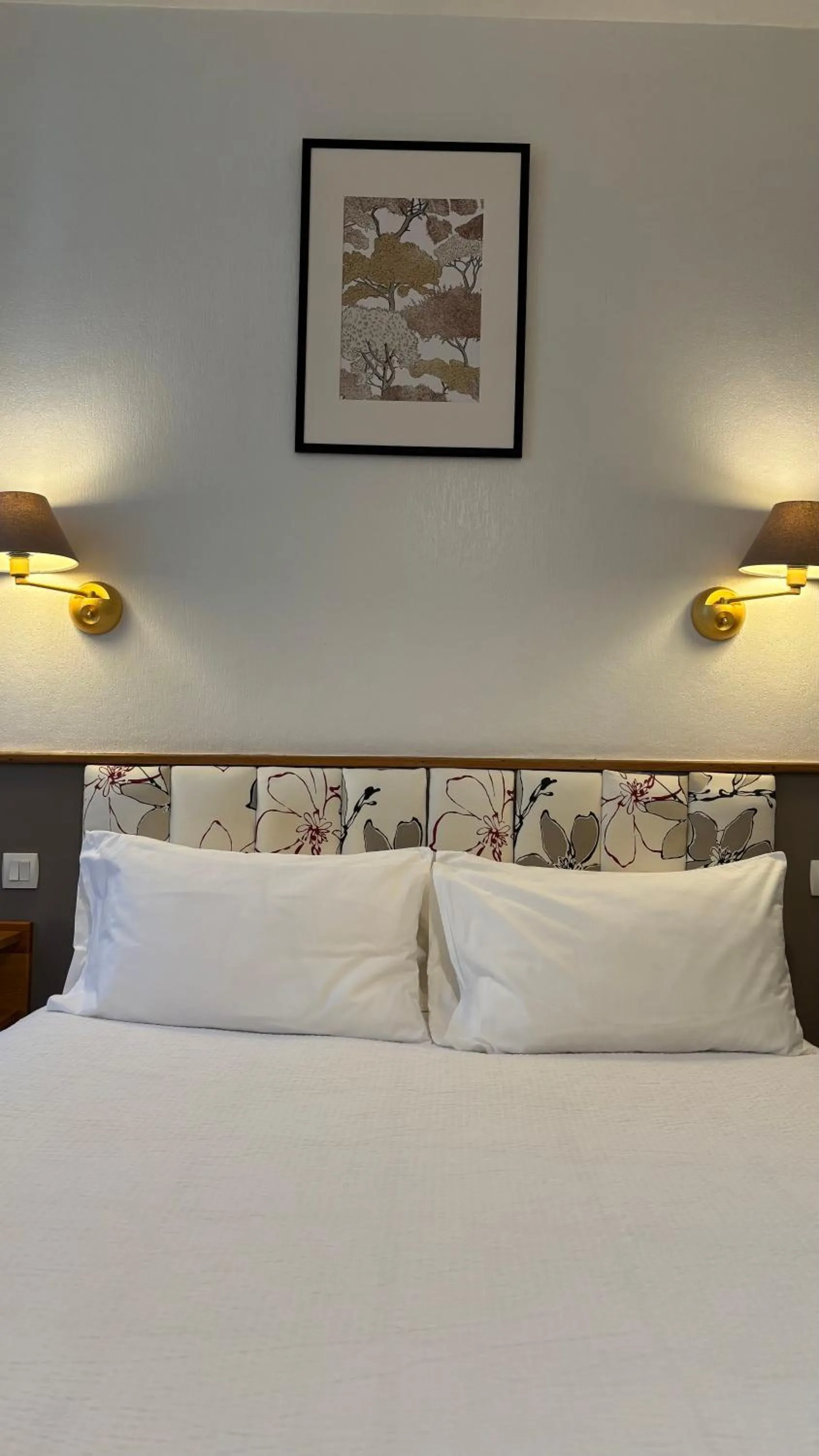 Bed in Logis Hôtel Restaurant Grand Hôtel de Lyon