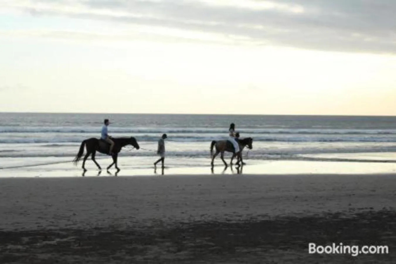 Horse-riding in Sarinande Hotel