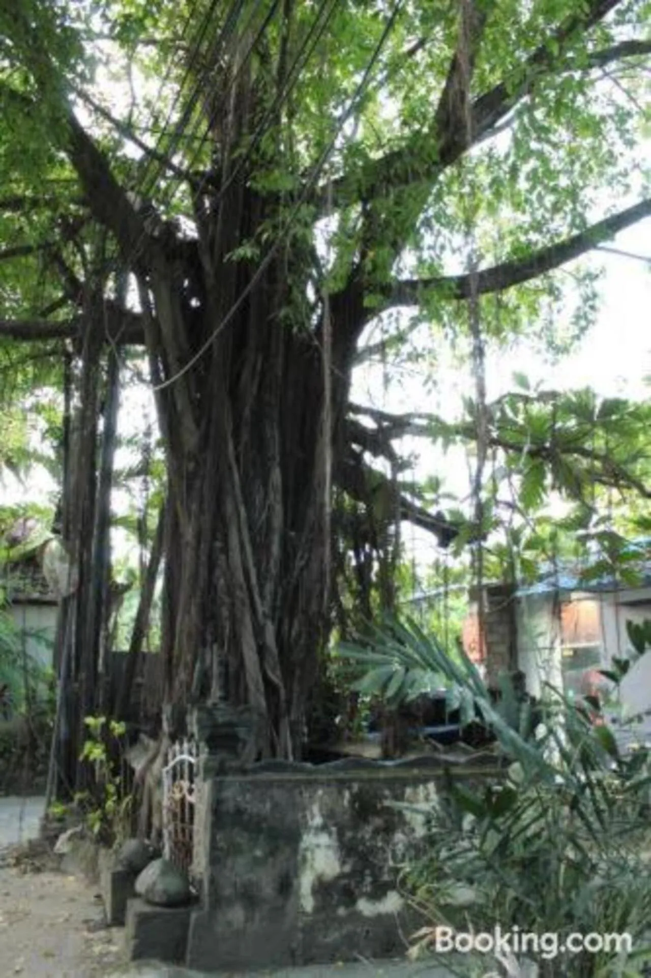 Area and facilities in Sarinande Hotel