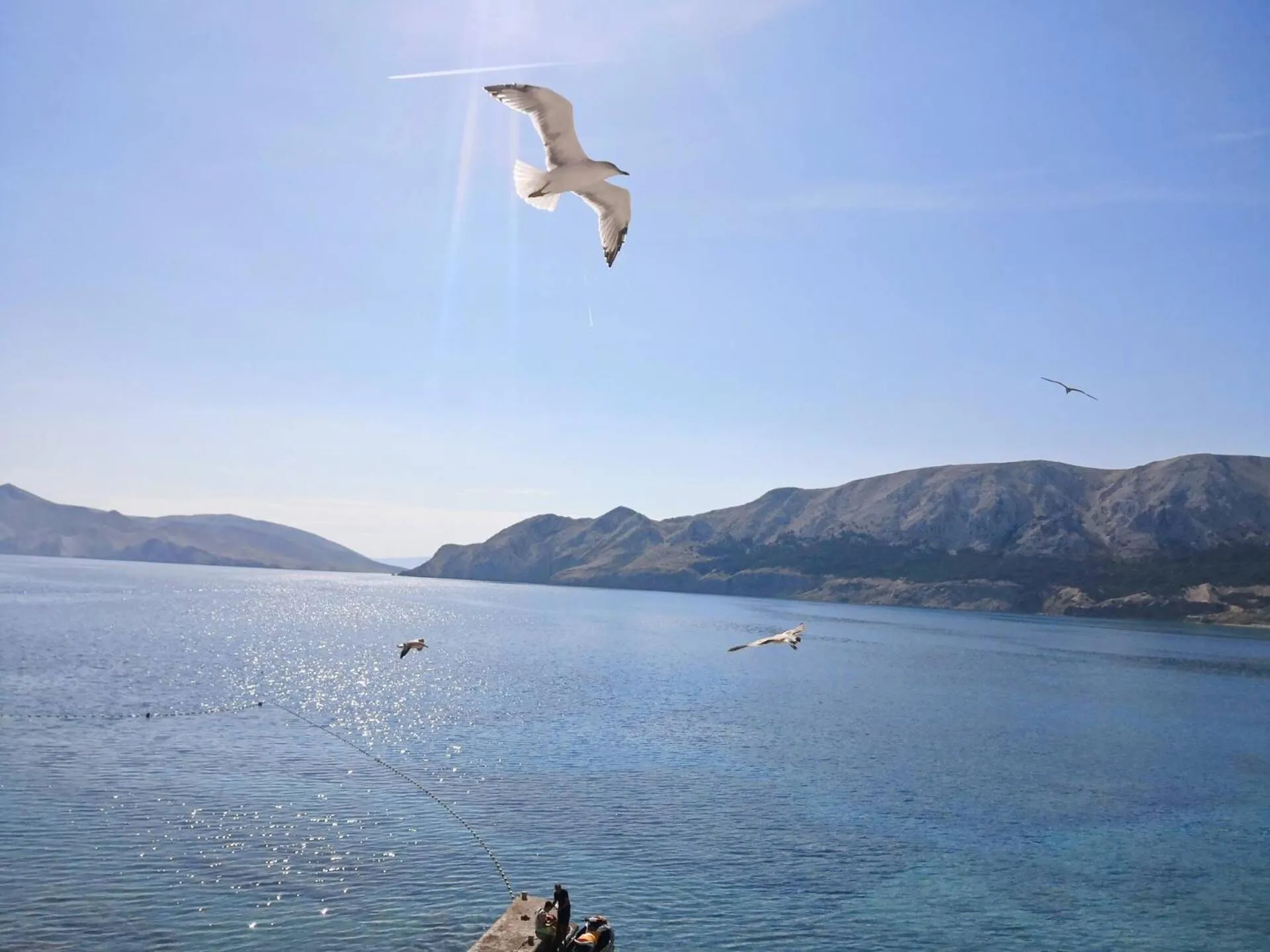 Sea view in Studio Mihovil