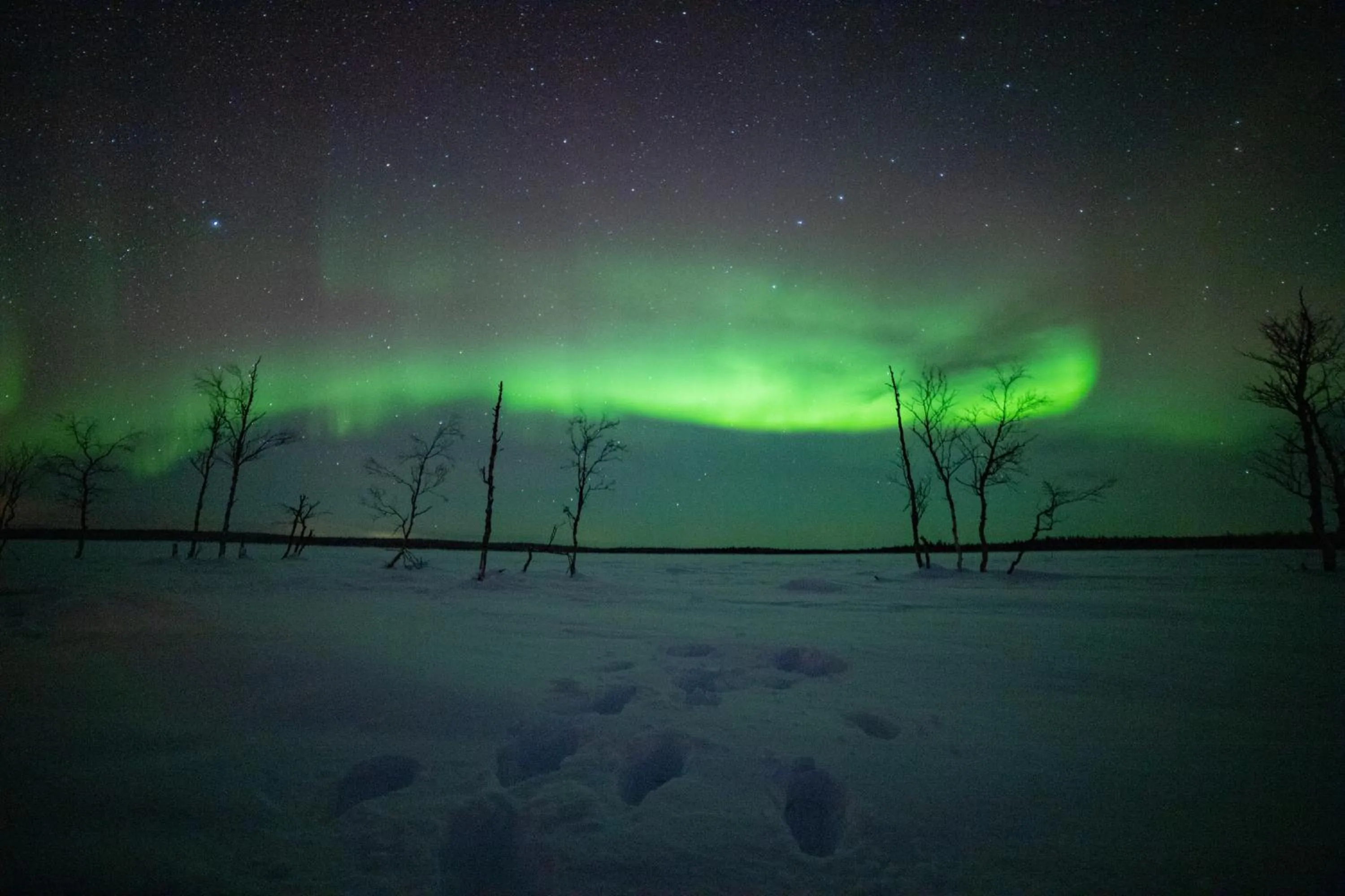 Northern Lights Village Levi