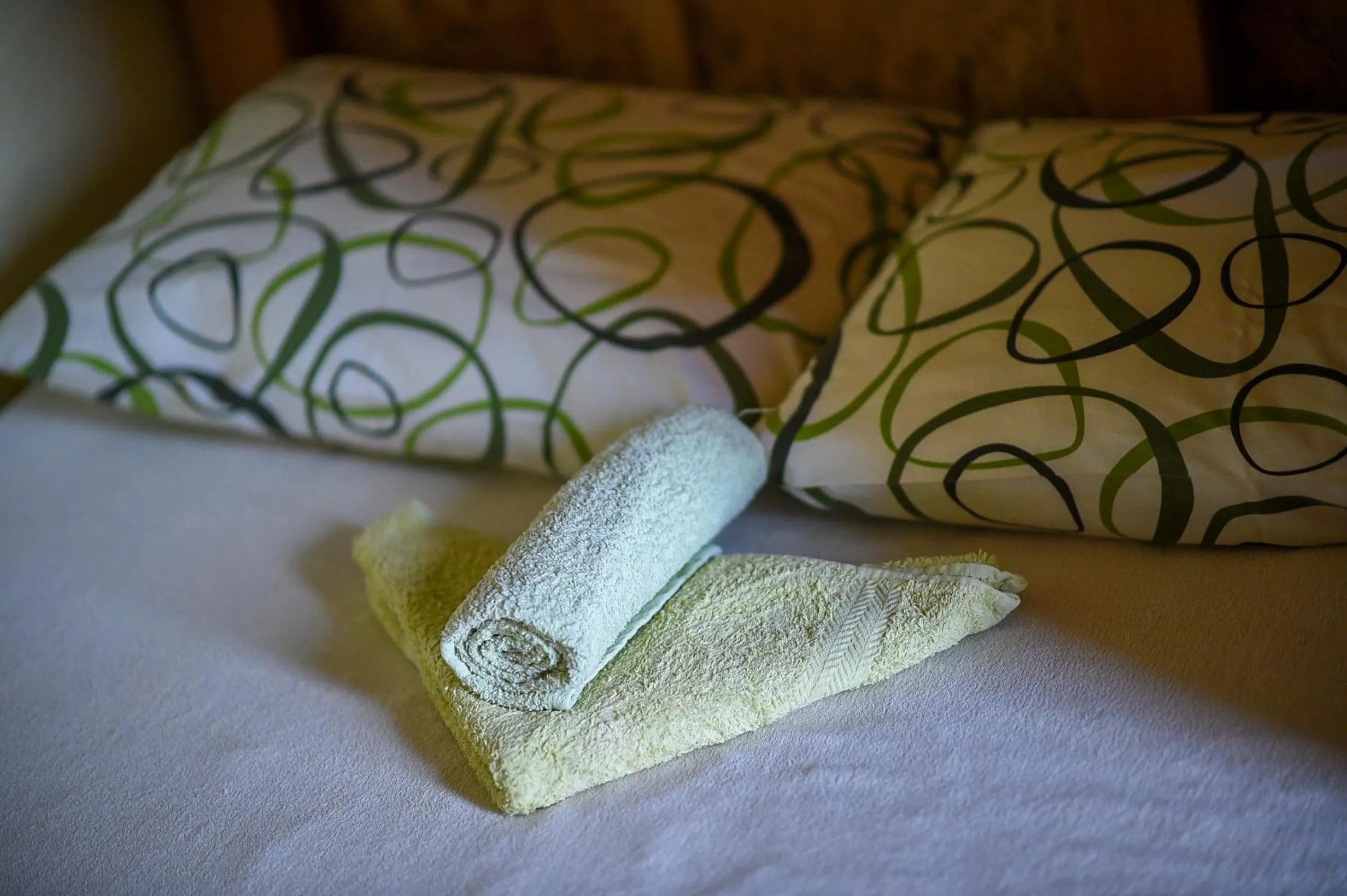 Bed in San Art Floating Hostel & Apartments