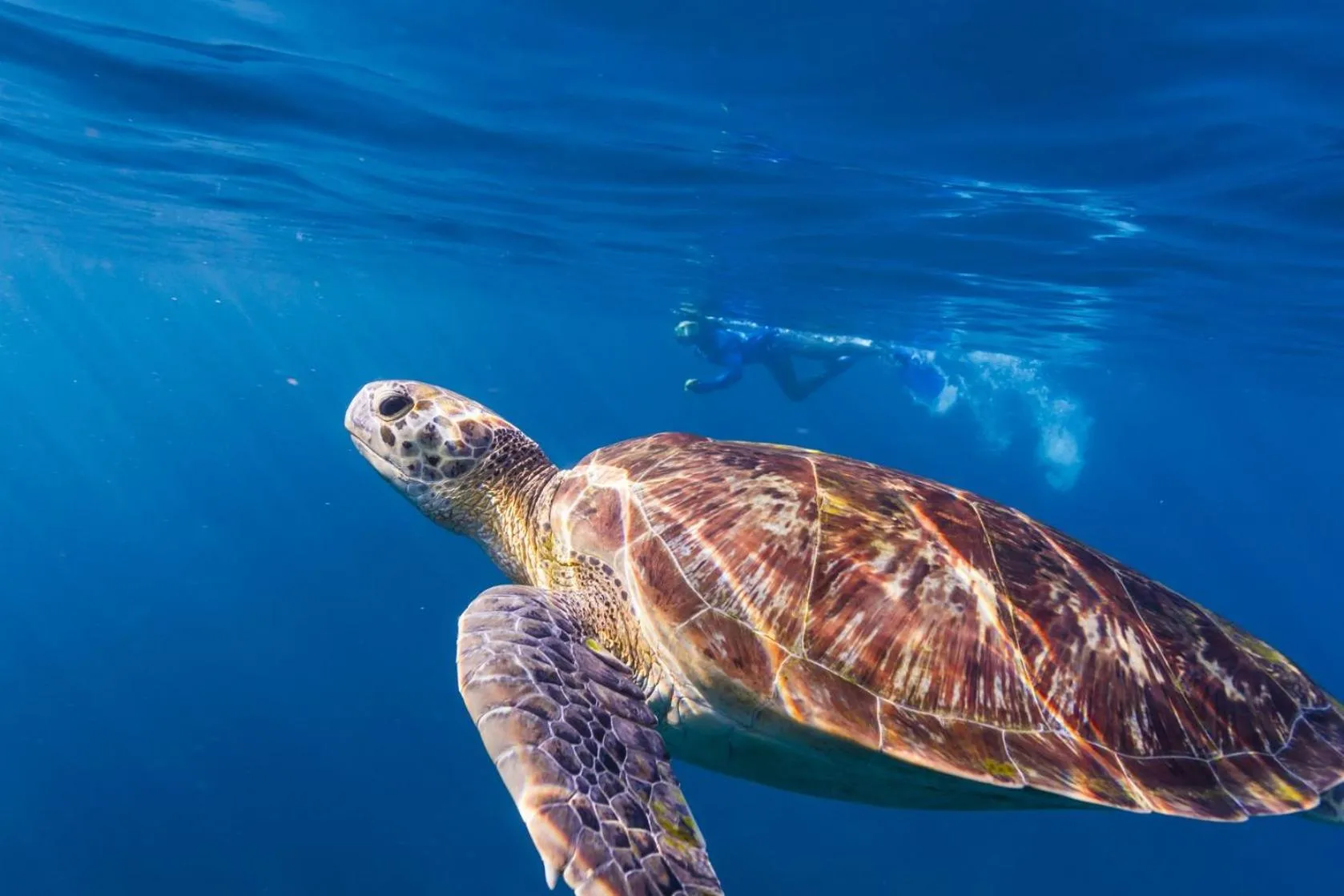 Snorkeling in BuBu Villa