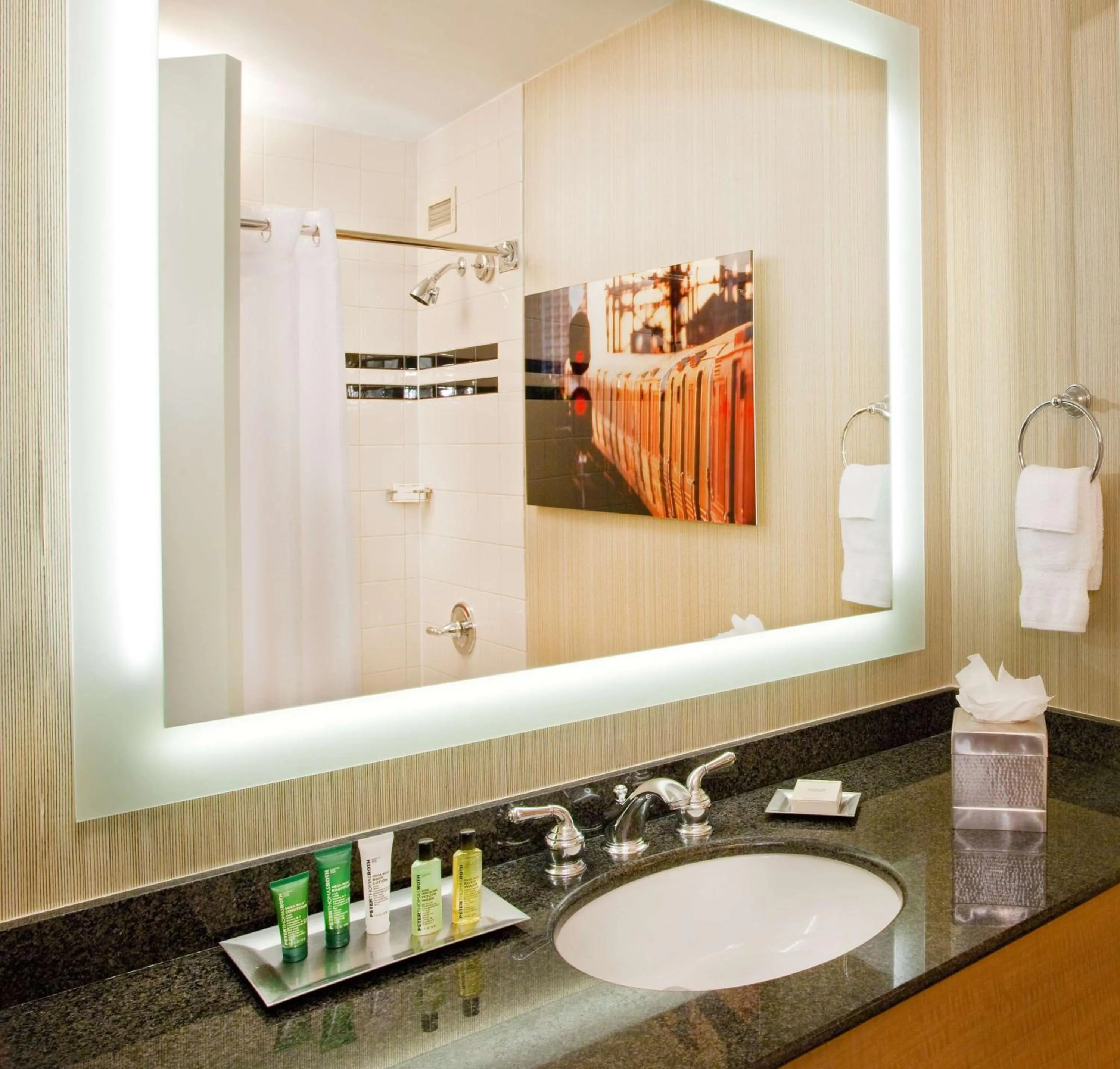 Bathroom in Hilton Newark Airport