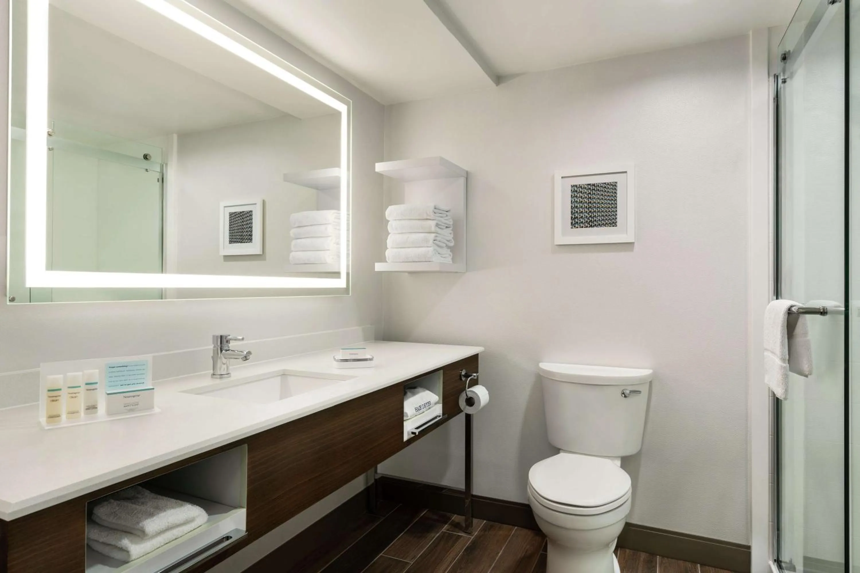 Bathroom in Hampton Inn Dulles/Cascades