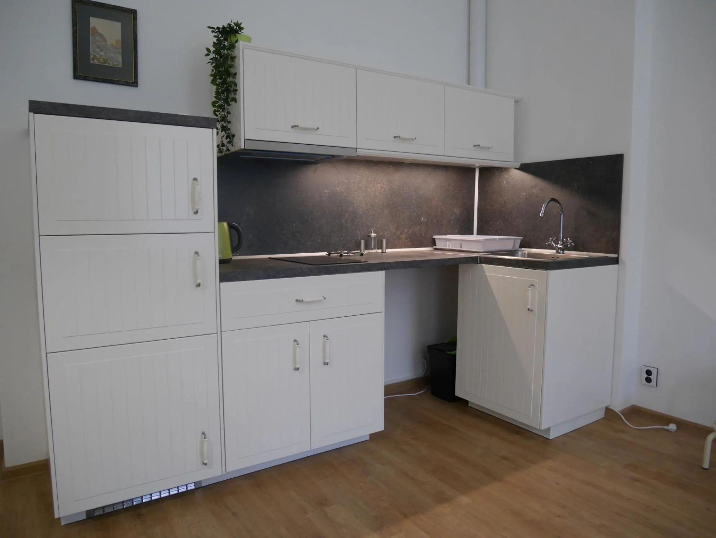 Kitchen or kitchenette in Moskevská 40