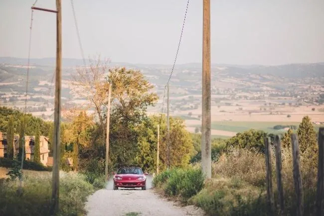 Activities in Miataland