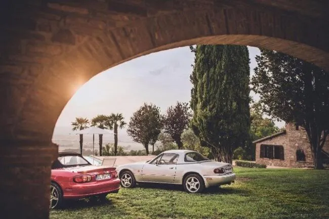 Activities in Miataland