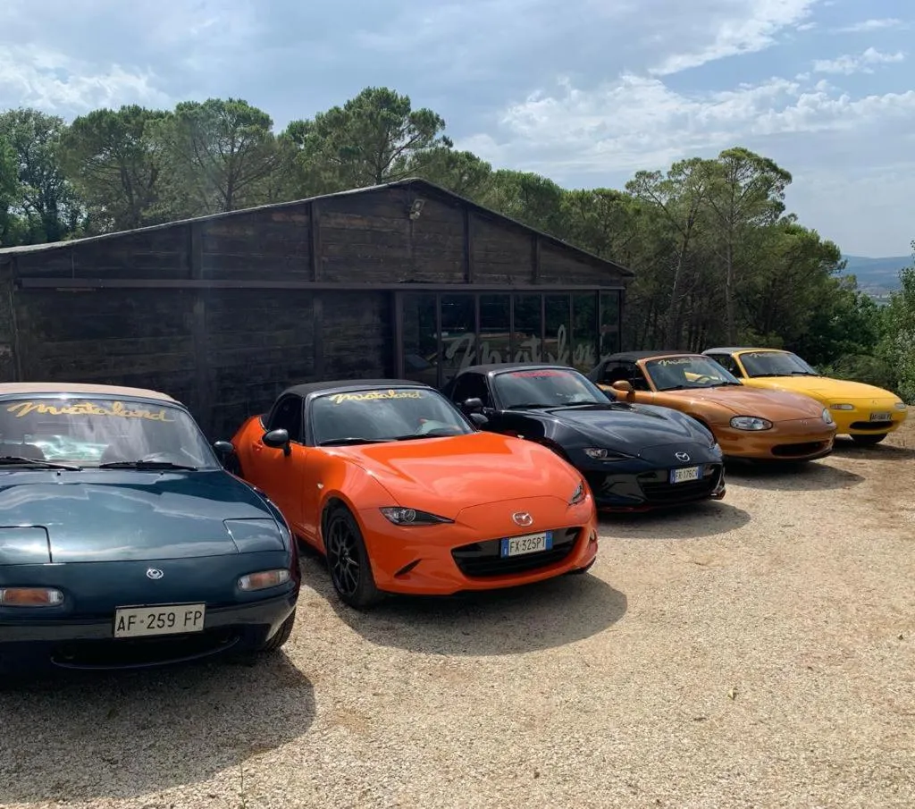 Activities in Miataland