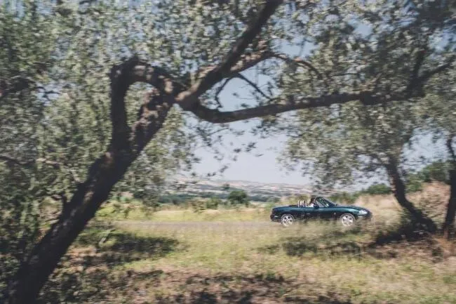 Activities in Miataland