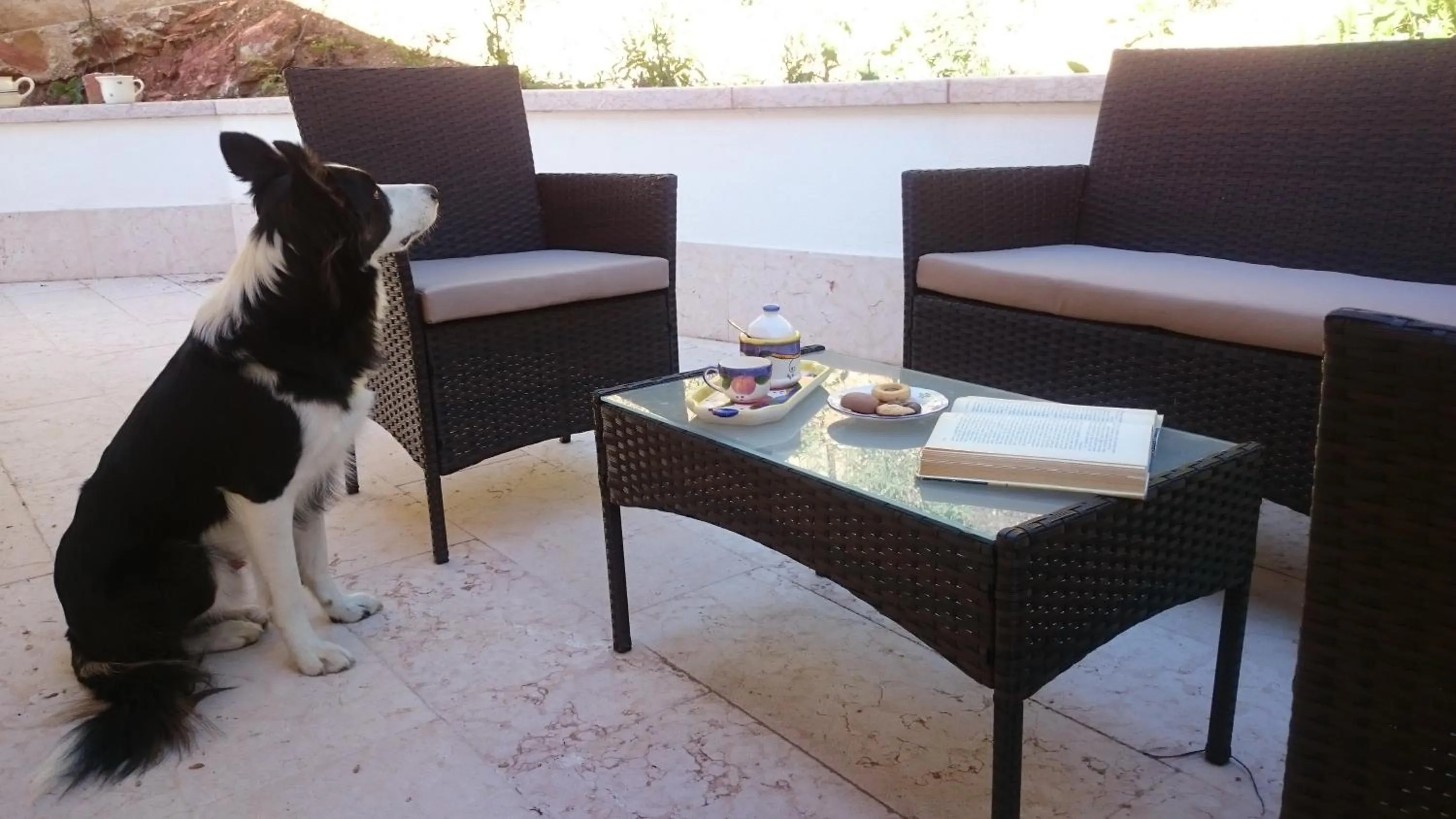 Balcony/Terrace in B&B Happy Guest