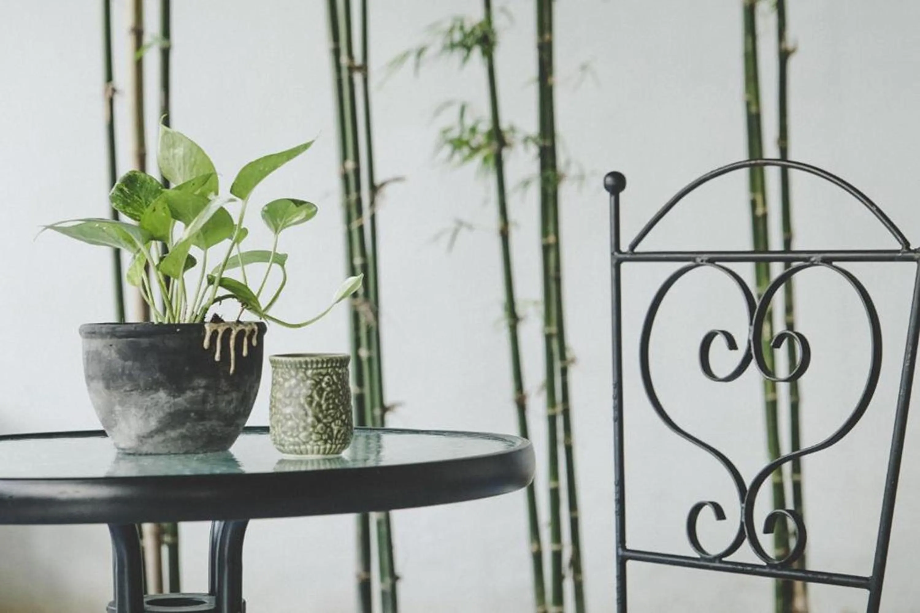 Decorative detail in Hotel Wualai by CMStay