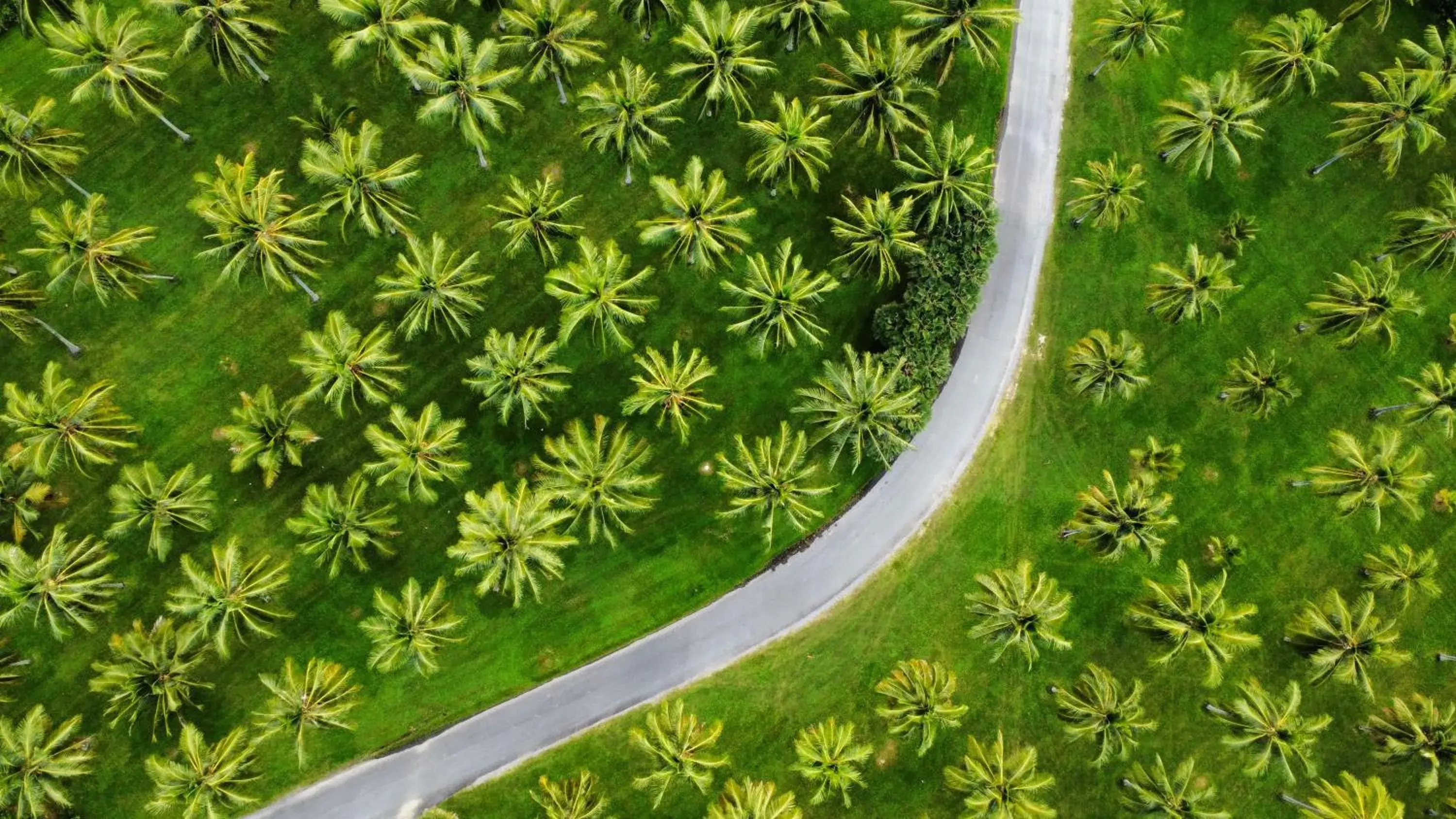 Facade/entrance in Thala Beach Nature Reserve Facade/entrance in Thala Beach Nature Reserve
