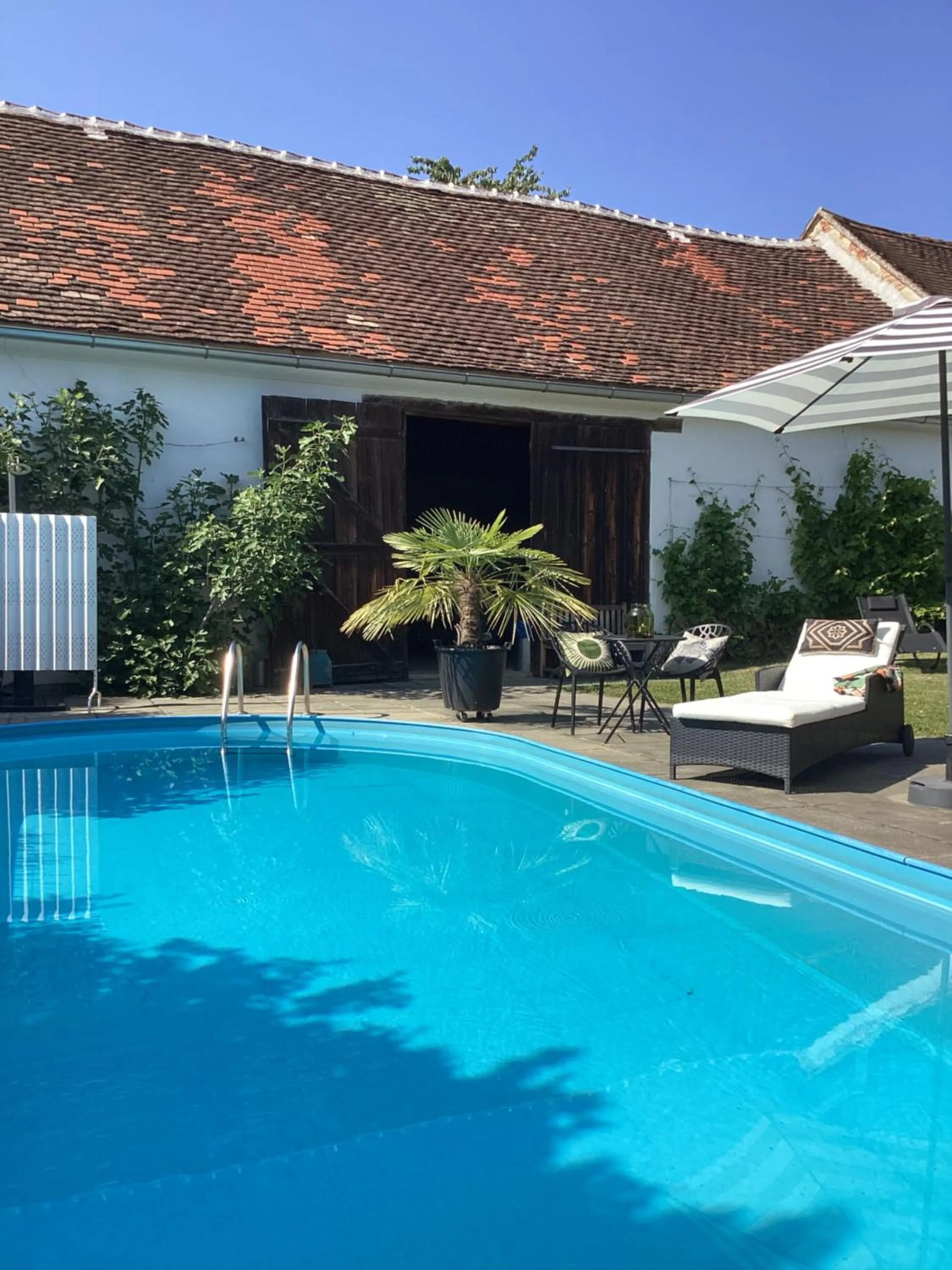 Bed & Breakfast Chez Lips