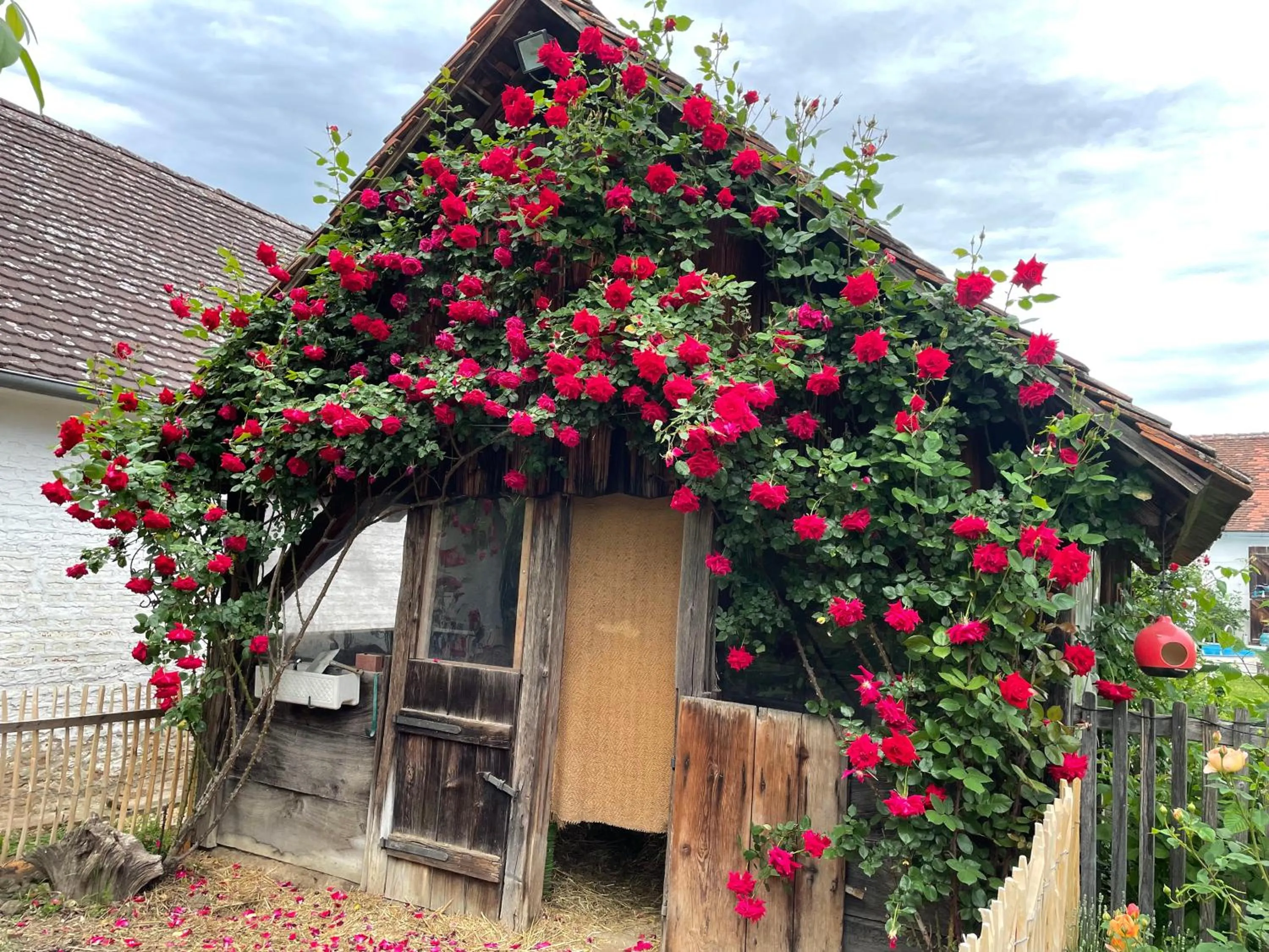 Bed & Breakfast Chez Lips