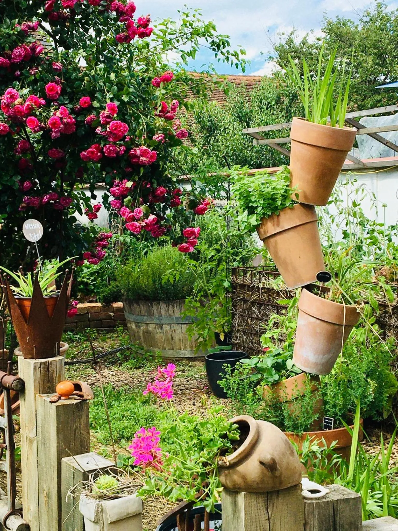 Bed & Breakfast Chez Lips