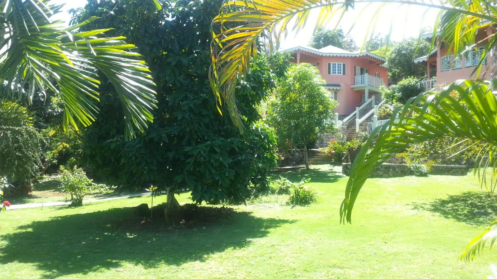 Natural landscape in Pimento Lodge Resort